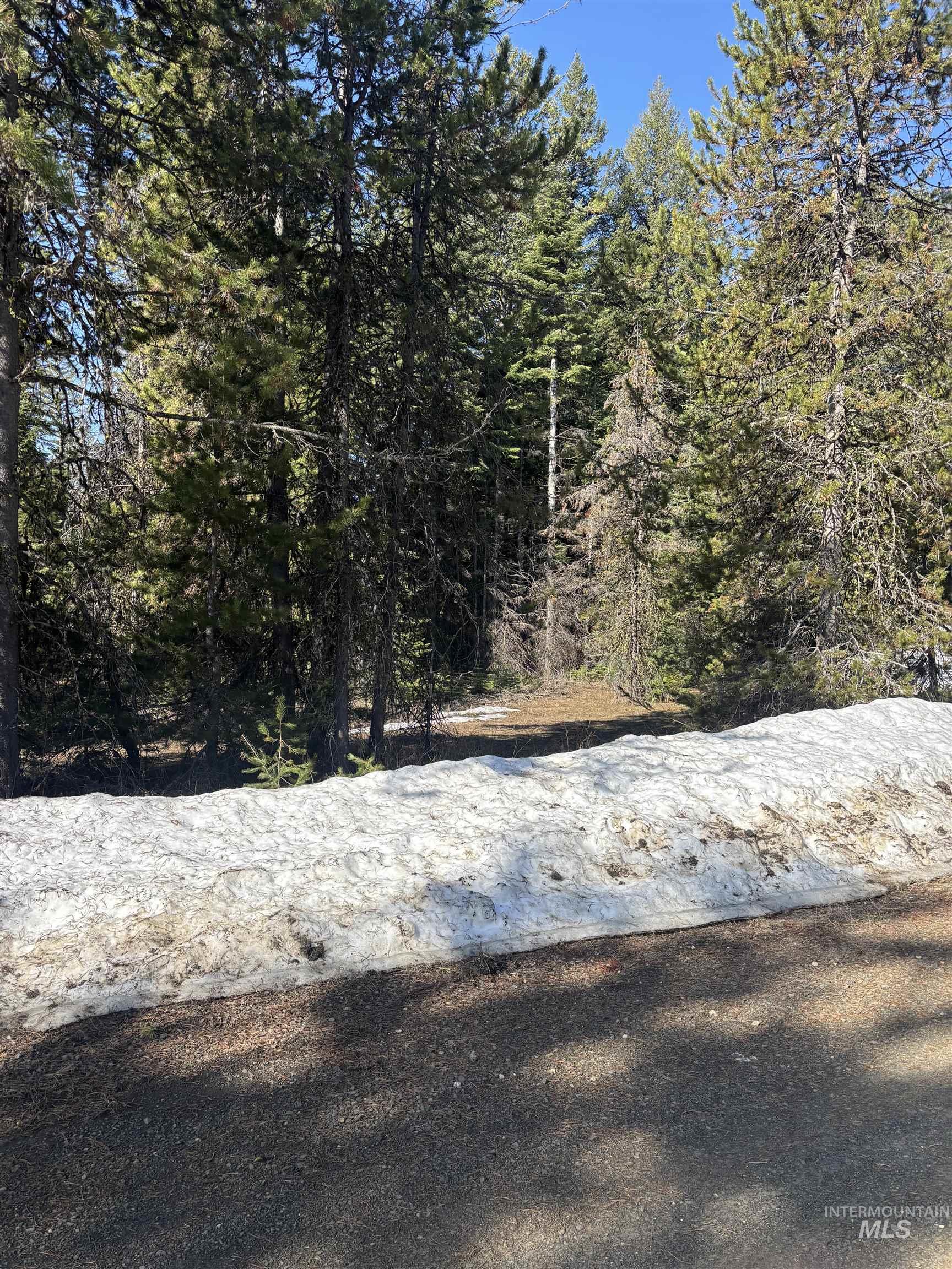 17 Royal Lane, Donnelly, Idaho 83615, Land For Sale, Price $389,500,MLS 98998460