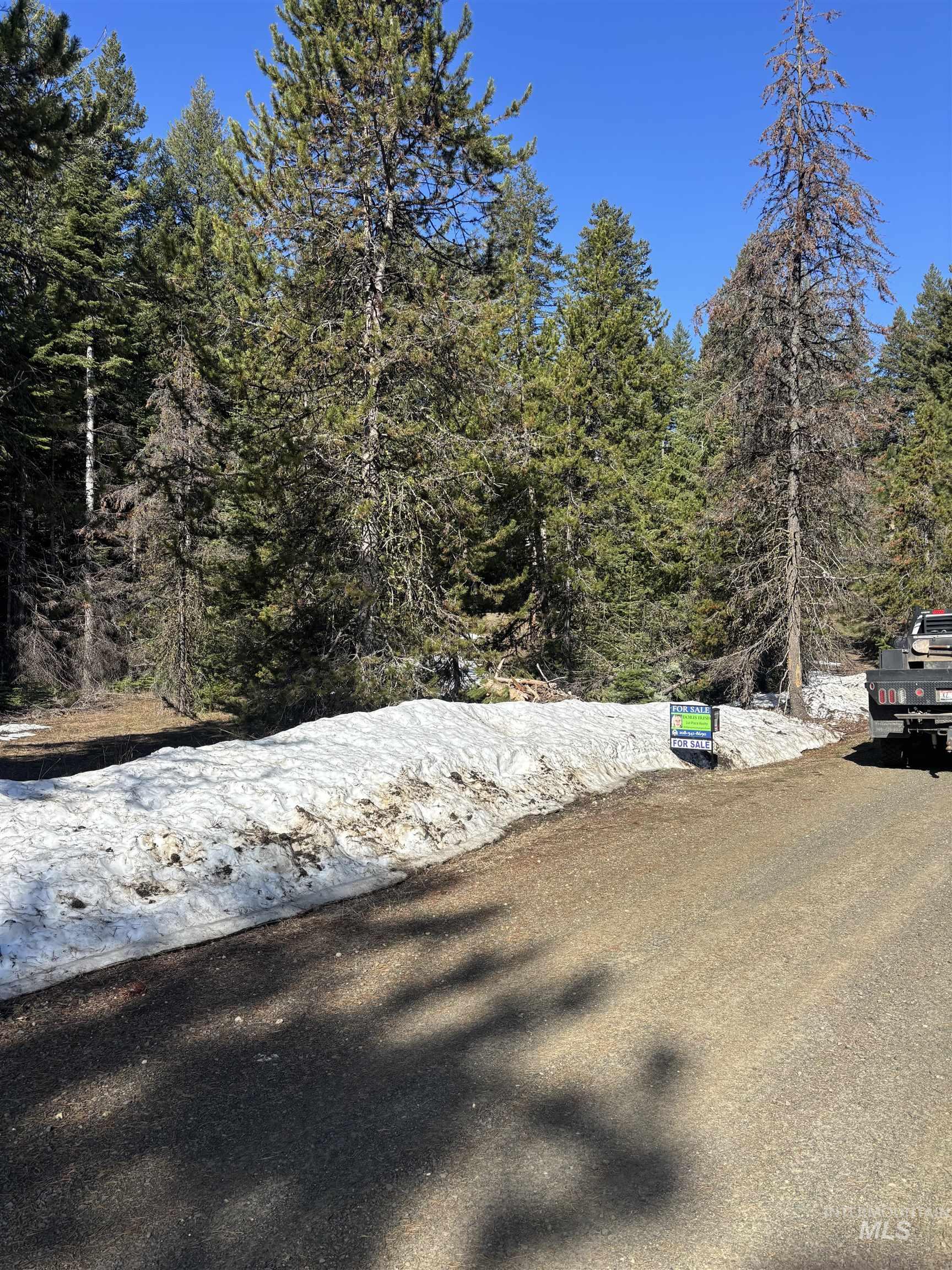 17 Royal Lane, Donnelly, Idaho 83615, Land For Sale, Price $389,500,MLS 98998460