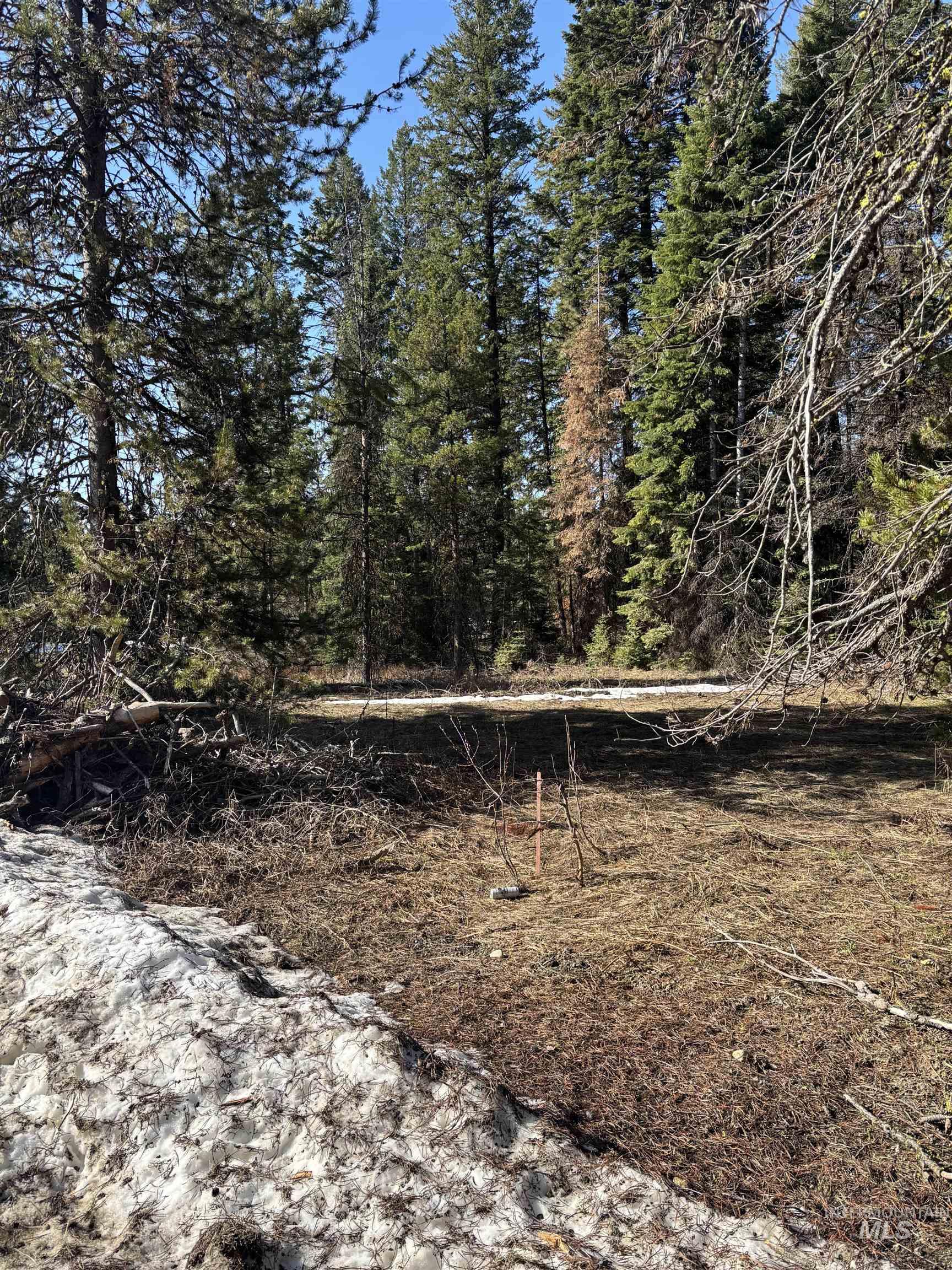 17 Royal Lane, Donnelly, Idaho 83615, Land For Sale, Price $389,500,MLS 98998460