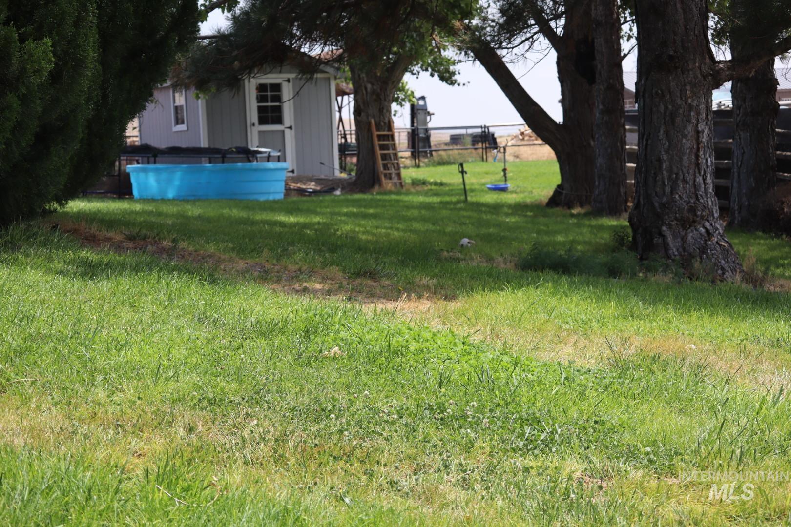 151 E 5600 N, Hagerman, Idaho 83332, 6 Bedrooms, 4 Bathrooms, Farm & Ranch For Sale, Price $1,800,000,MLS 98998526
