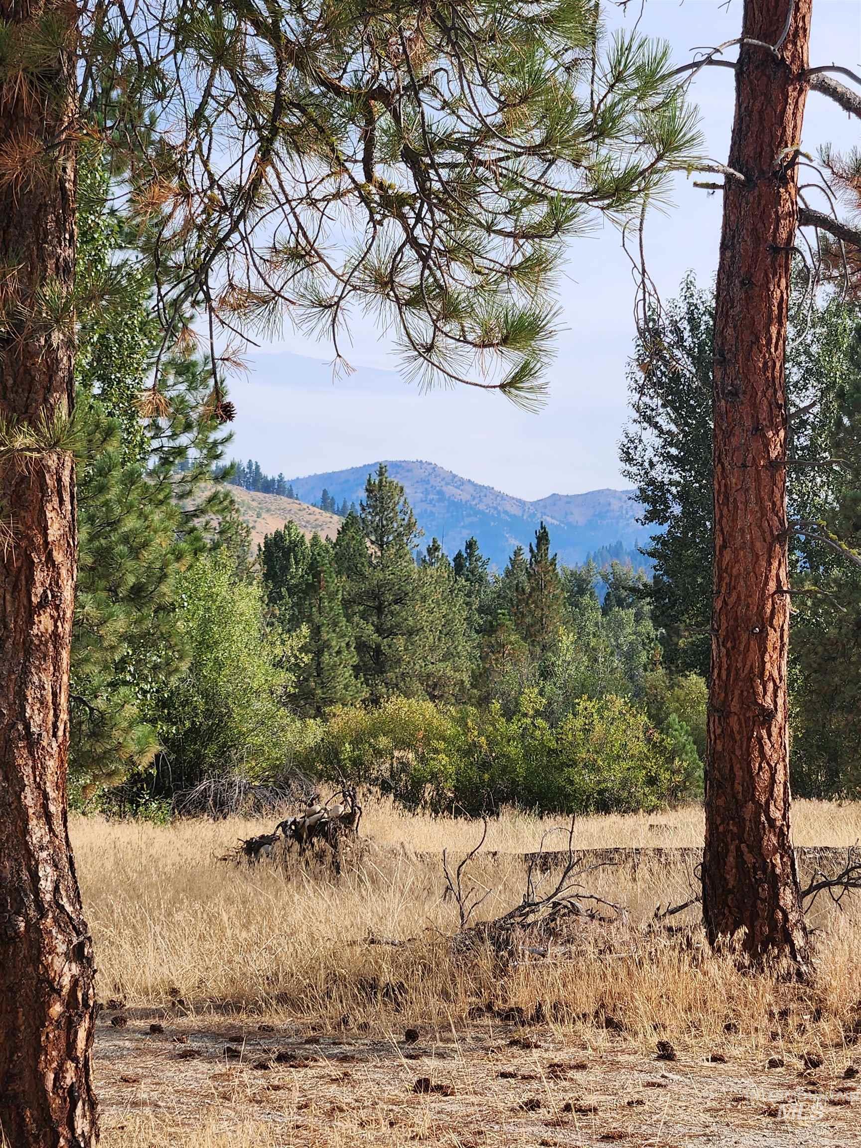3897 N Rawah Dr, Featherville, Idaho 83647, Land For Sale, Price $347,900,MLS 98998590