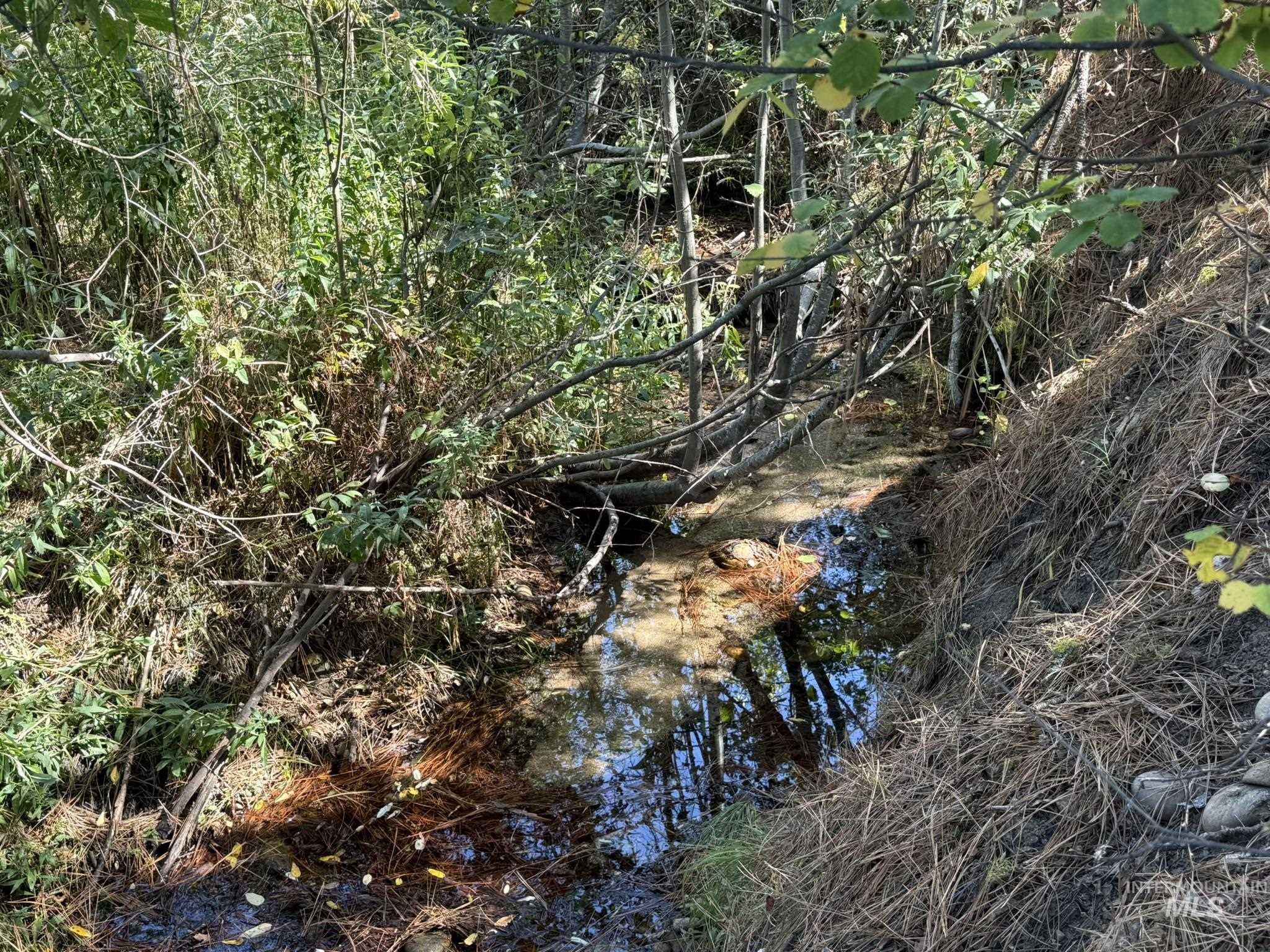 Lot 33 River Meadow Dr, Garden Valley, Idaho 83622, Land For Sale, Price $299,000,MLS 98998609