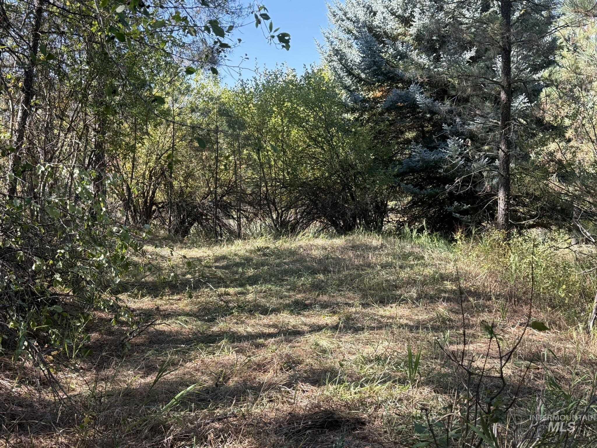 Lot 33 River Meadow Dr, Garden Valley, Idaho 83622, Land For Sale, Price $299,000,MLS 98998609