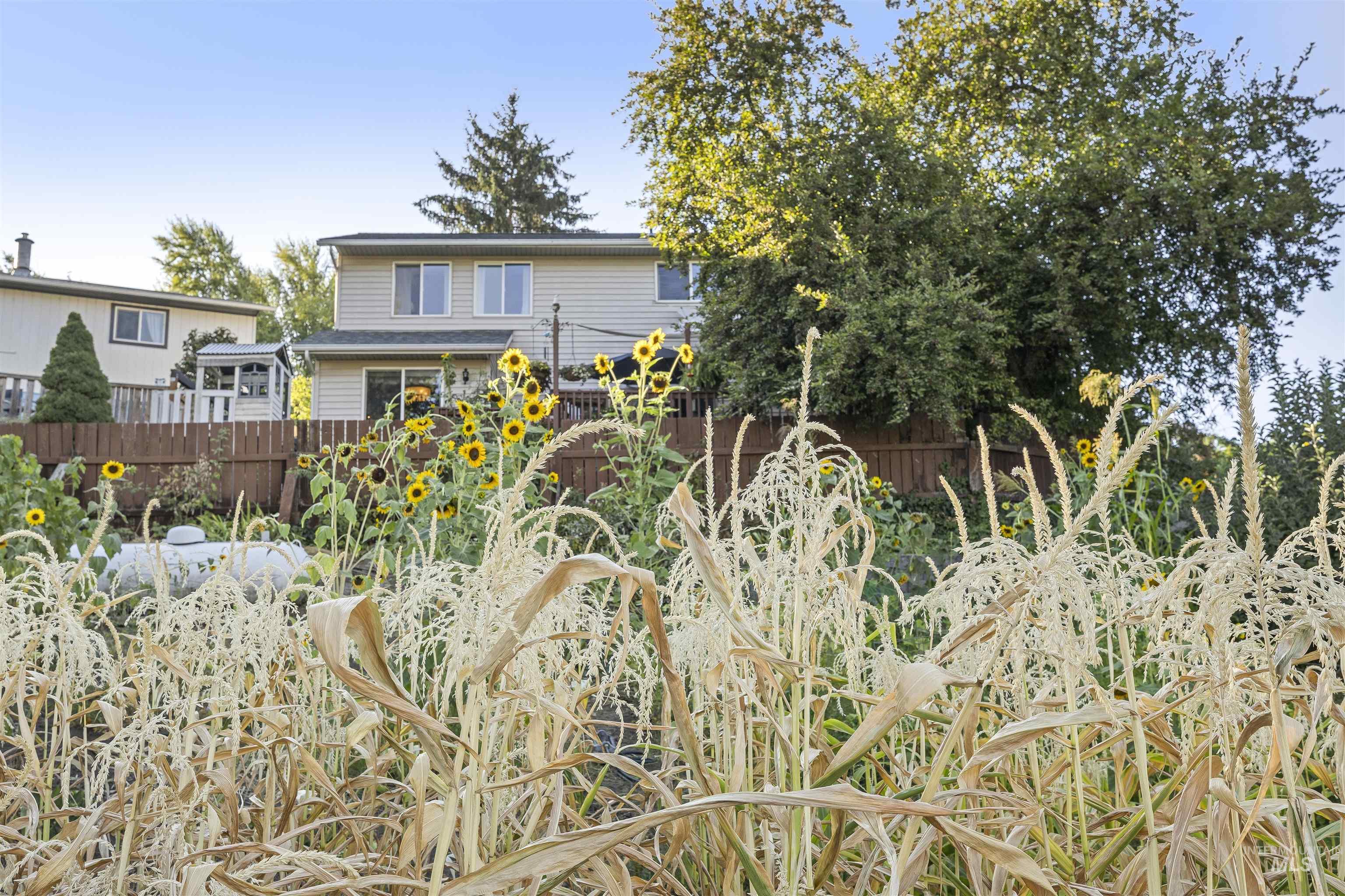310 Ward Street, Juliaetta, Idaho 83835, 4 Bedrooms, 2 Bathrooms, Residential For Sale, Price $535,000,MLS 98998613