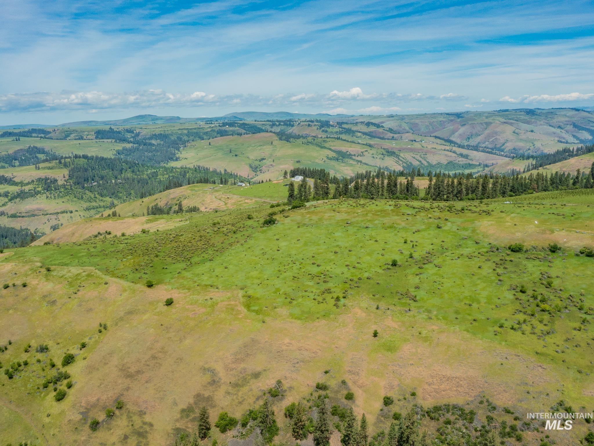 TBD Brotnov Rd., Clearwater, Idaho 83552, Land For Sale, Price $245,000,MLS 98998651