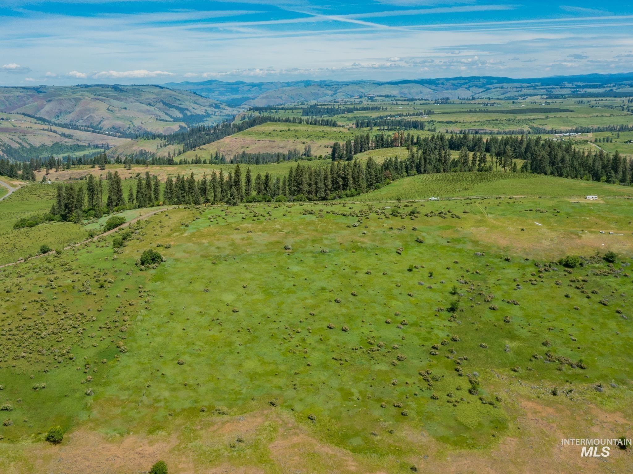 TBD Brotnov Rd., Clearwater, Idaho 83552, Land For Sale, Price $245,000,MLS 98998651