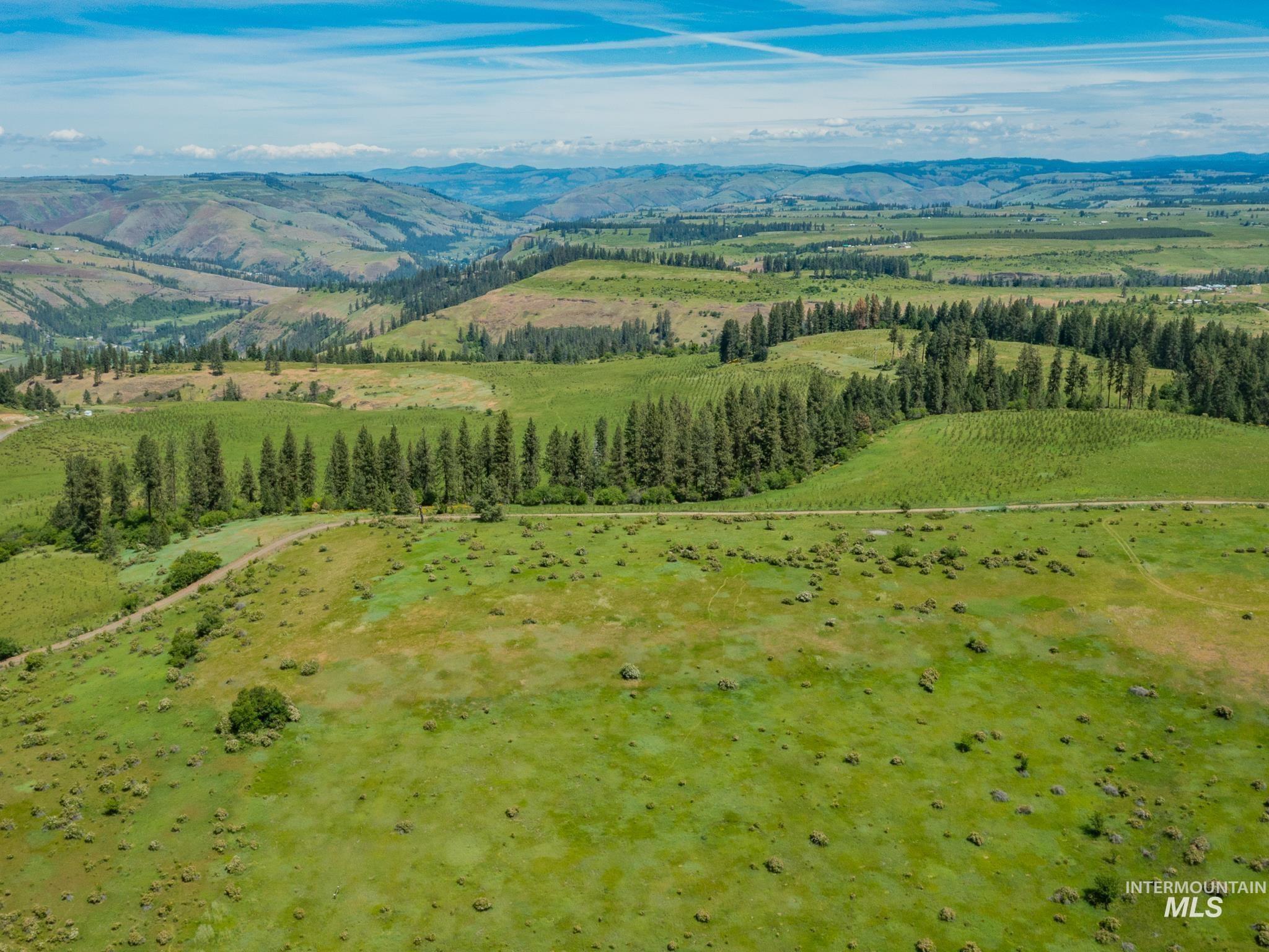TBD Brotnov Rd., Clearwater, Idaho 83552, Land For Sale, Price $245,000,MLS 98998651