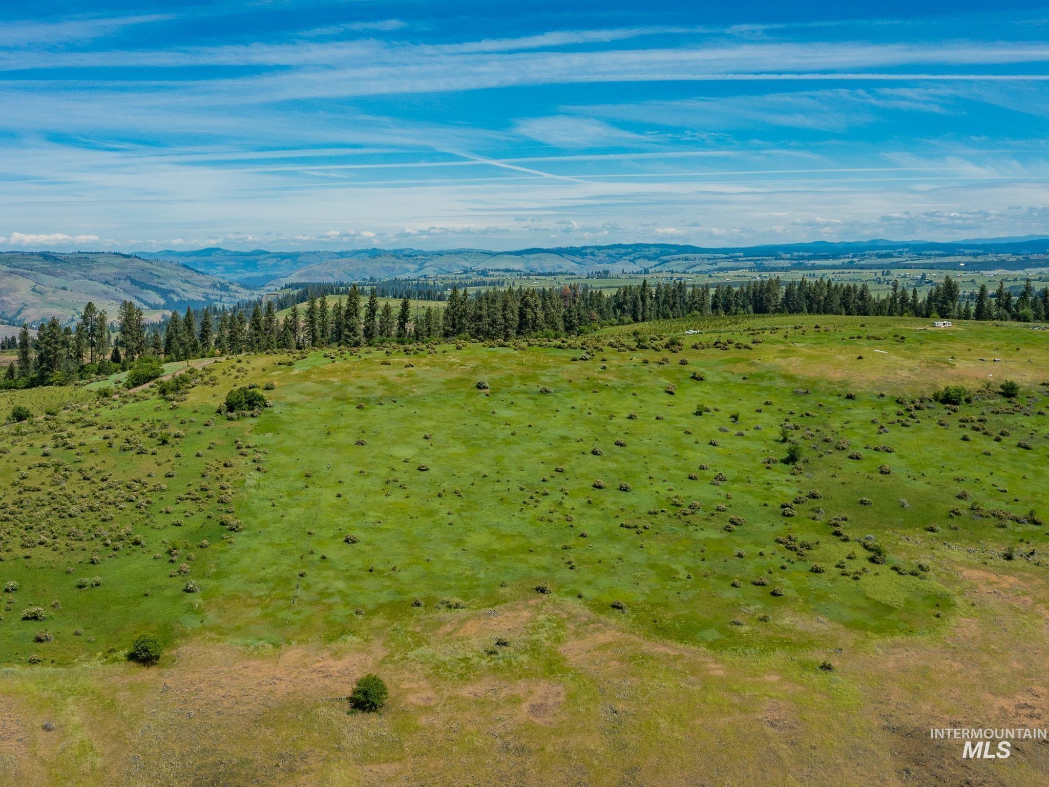 TBD Brotnov Rd., Clearwater, Idaho 83552, Land For Sale, Price $245,000,MLS 98998651