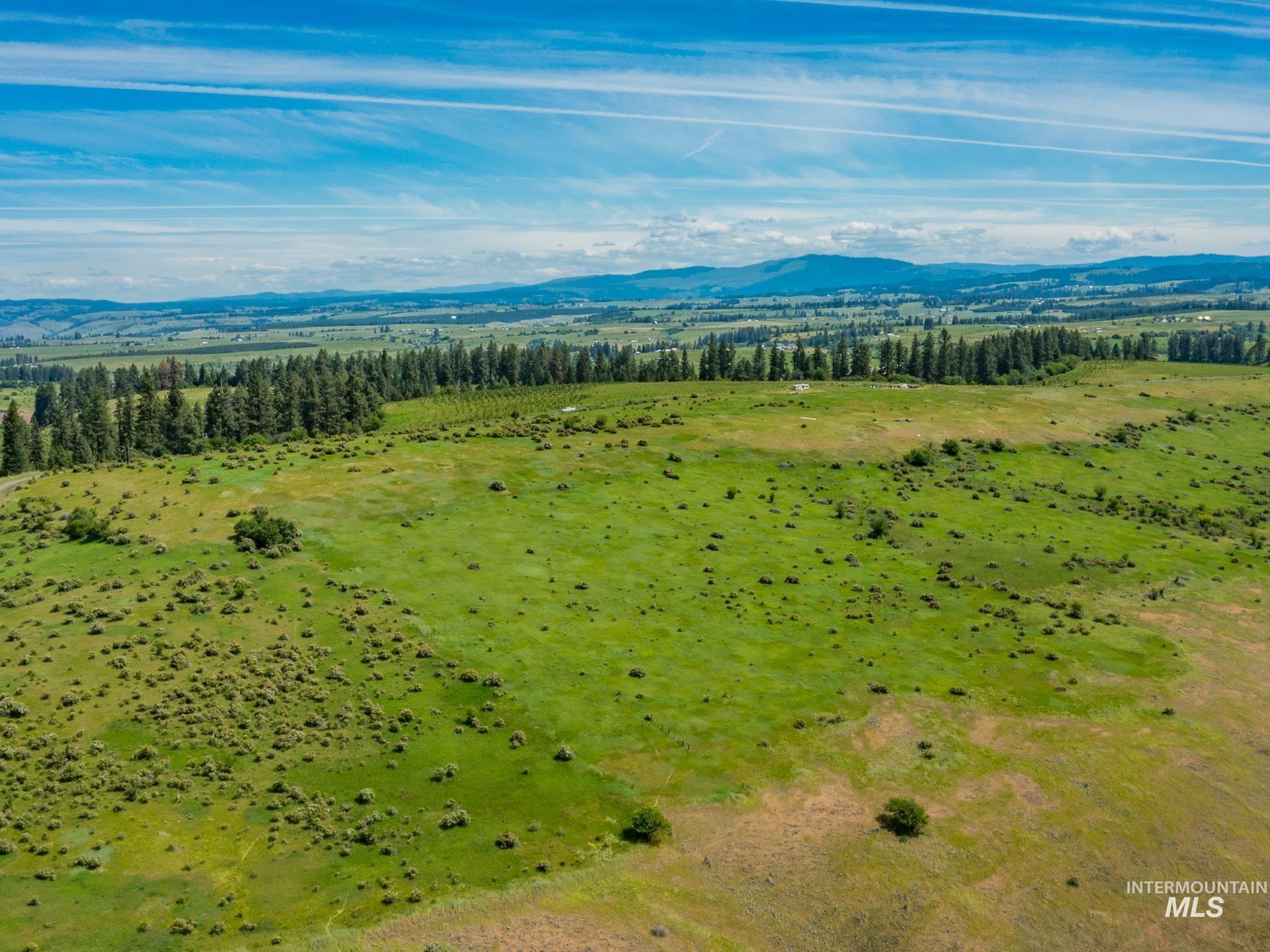 TBD Brotnov Rd., Clearwater, Idaho 83552, Land For Sale, Price $245,000,MLS 98998651