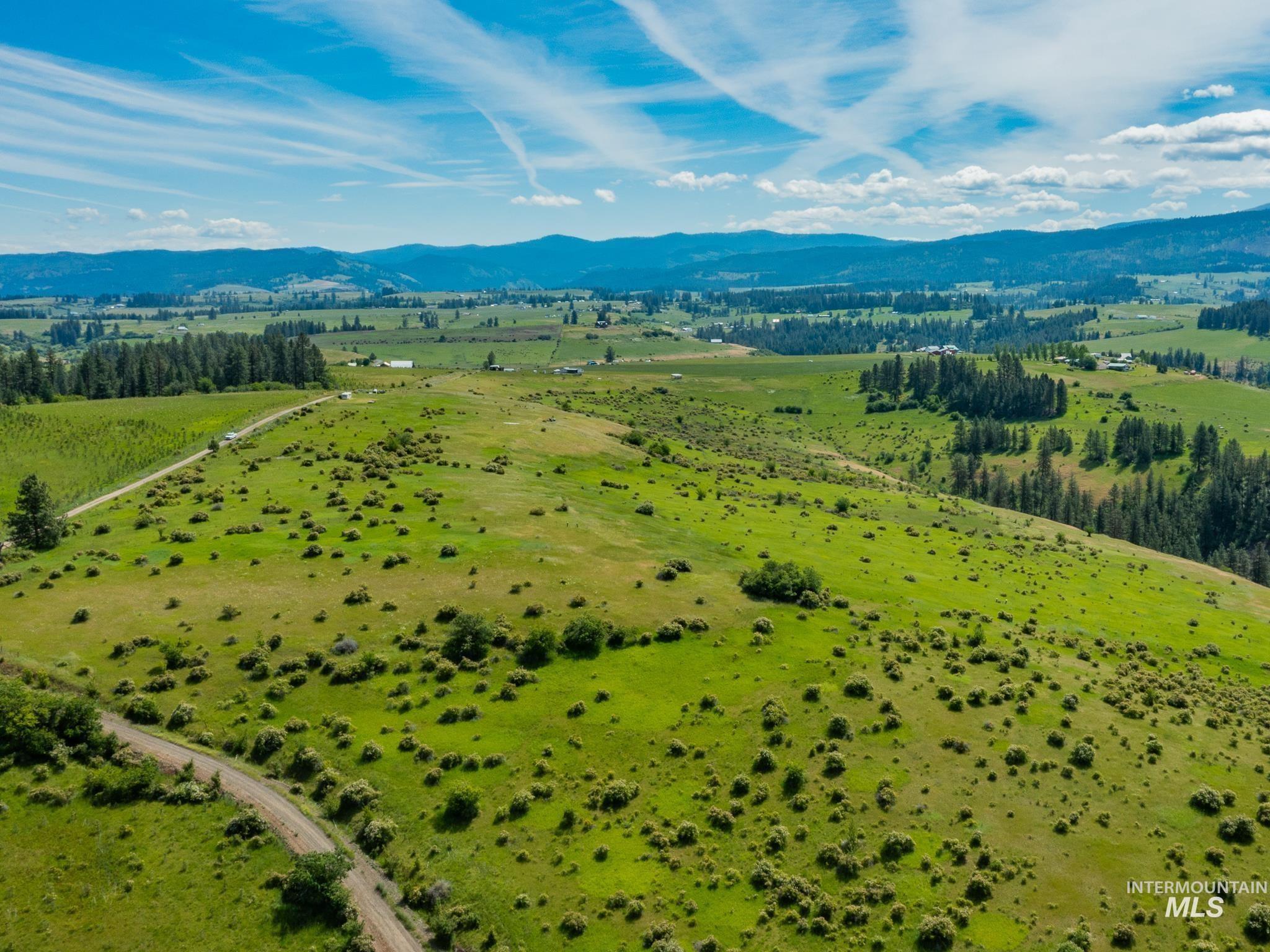TBD Brotnov Rd., Clearwater, Idaho 83552, Land For Sale, Price $245,000,MLS 98998651