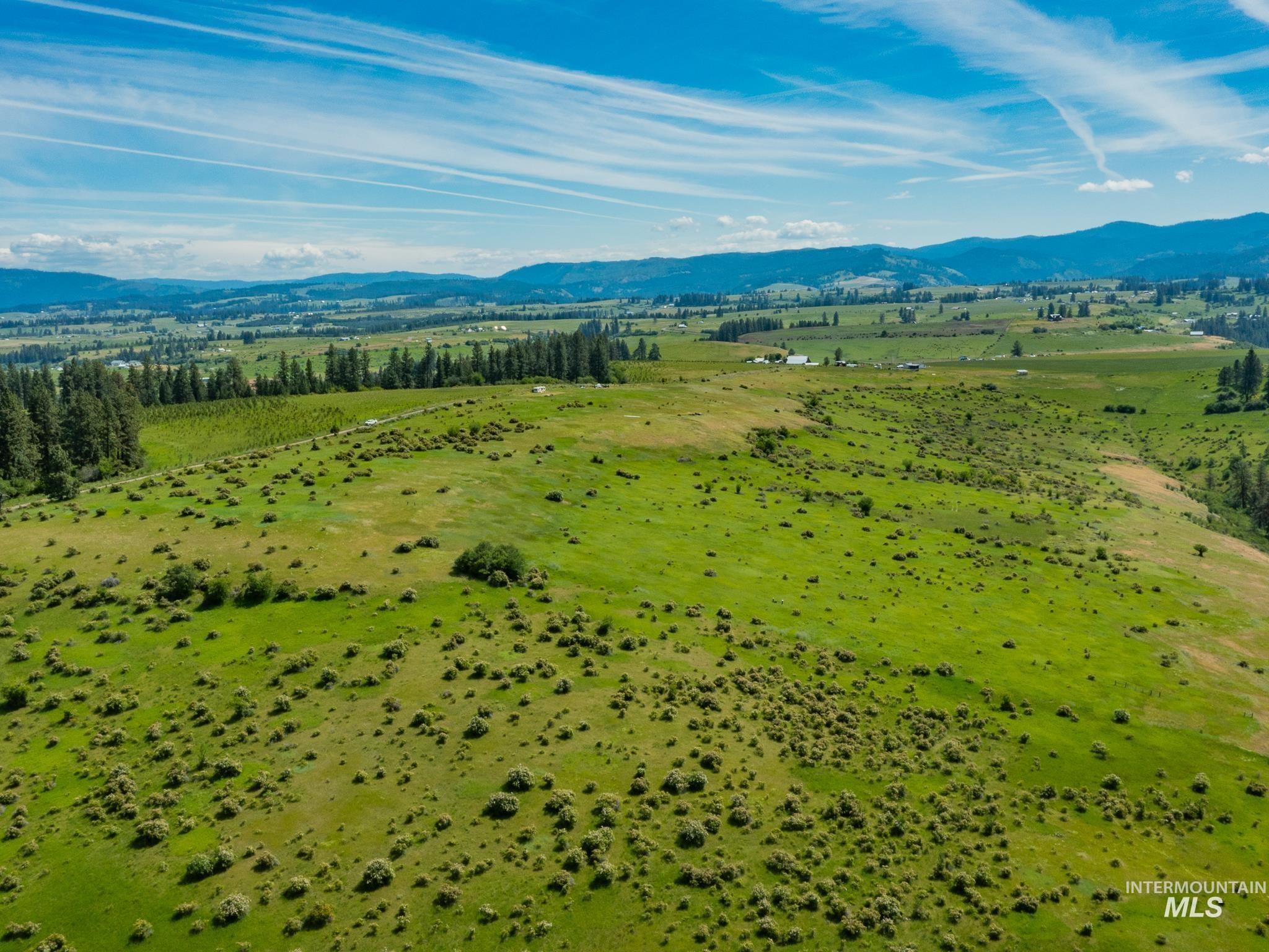 TBD Brotnov Rd., Clearwater, Idaho 83552, Land For Sale, Price $245,000,MLS 98998651