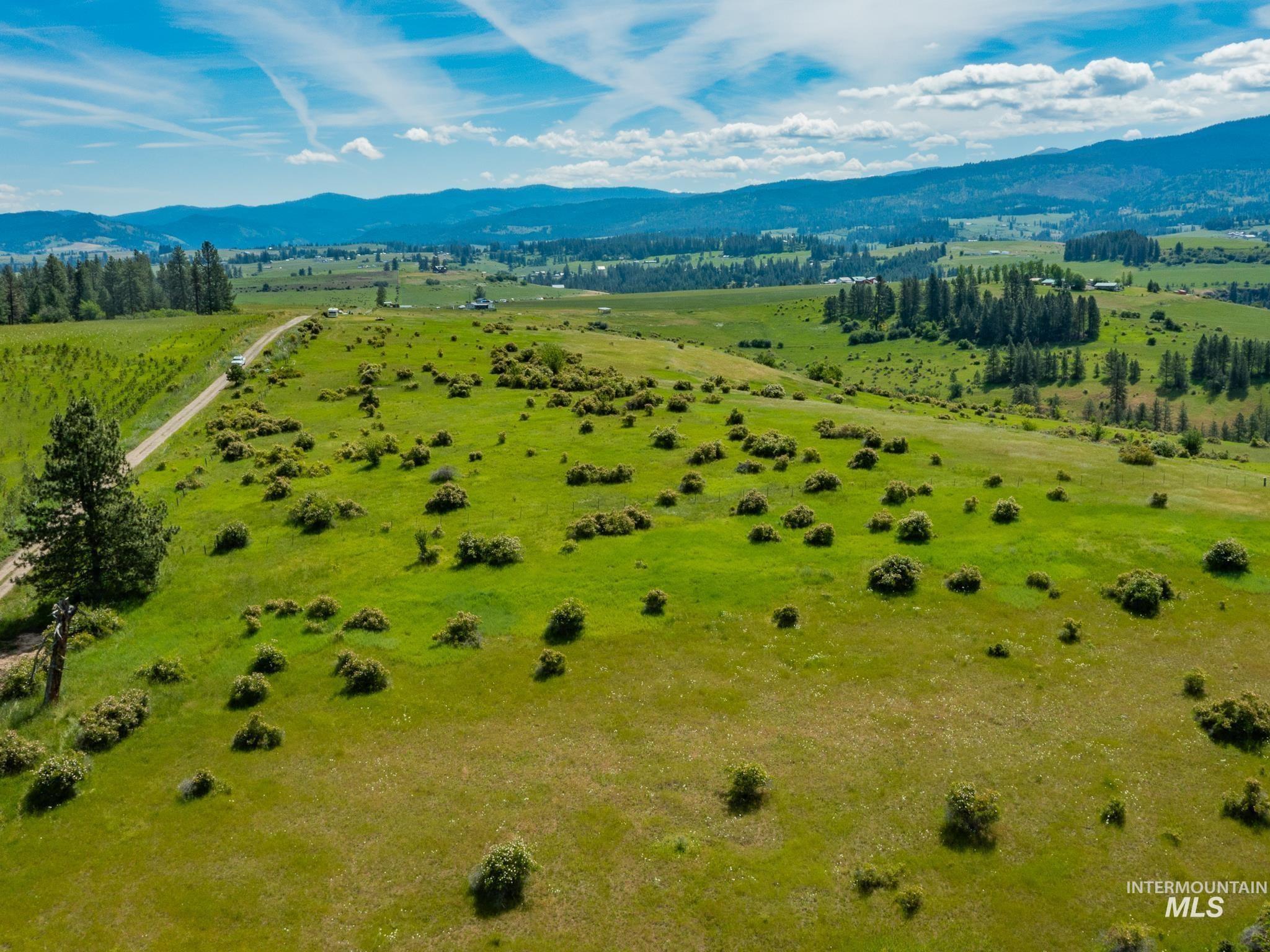 TBD Brotnov Rd., Clearwater, Idaho 83552, Land For Sale, Price $245,000,MLS 98998651