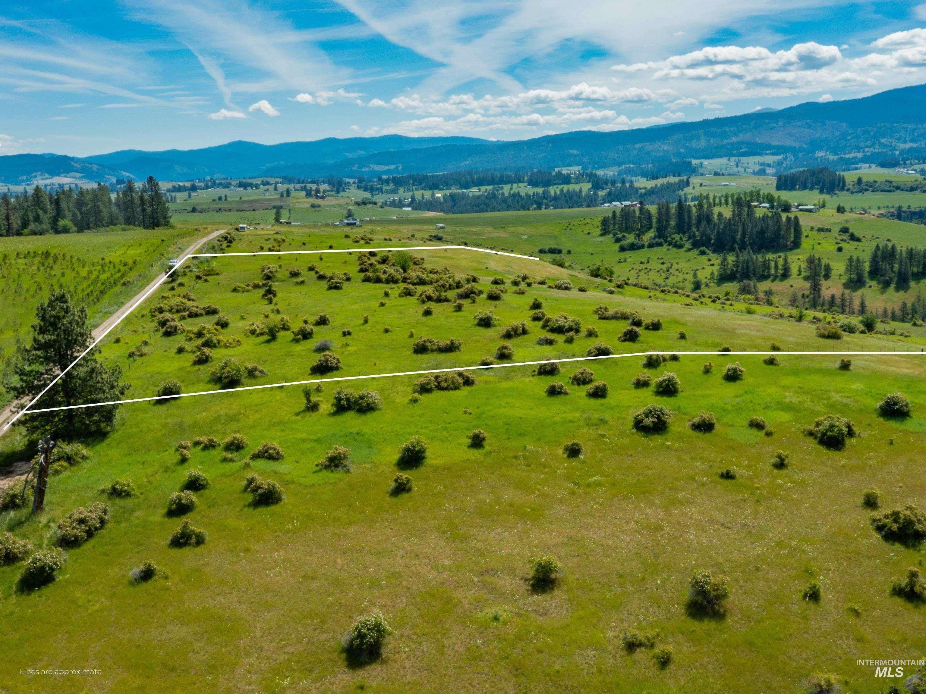 TBD Brotnov Rd., Clearwater, Idaho 83552, Land For Sale, Price $245,000,MLS 98998651