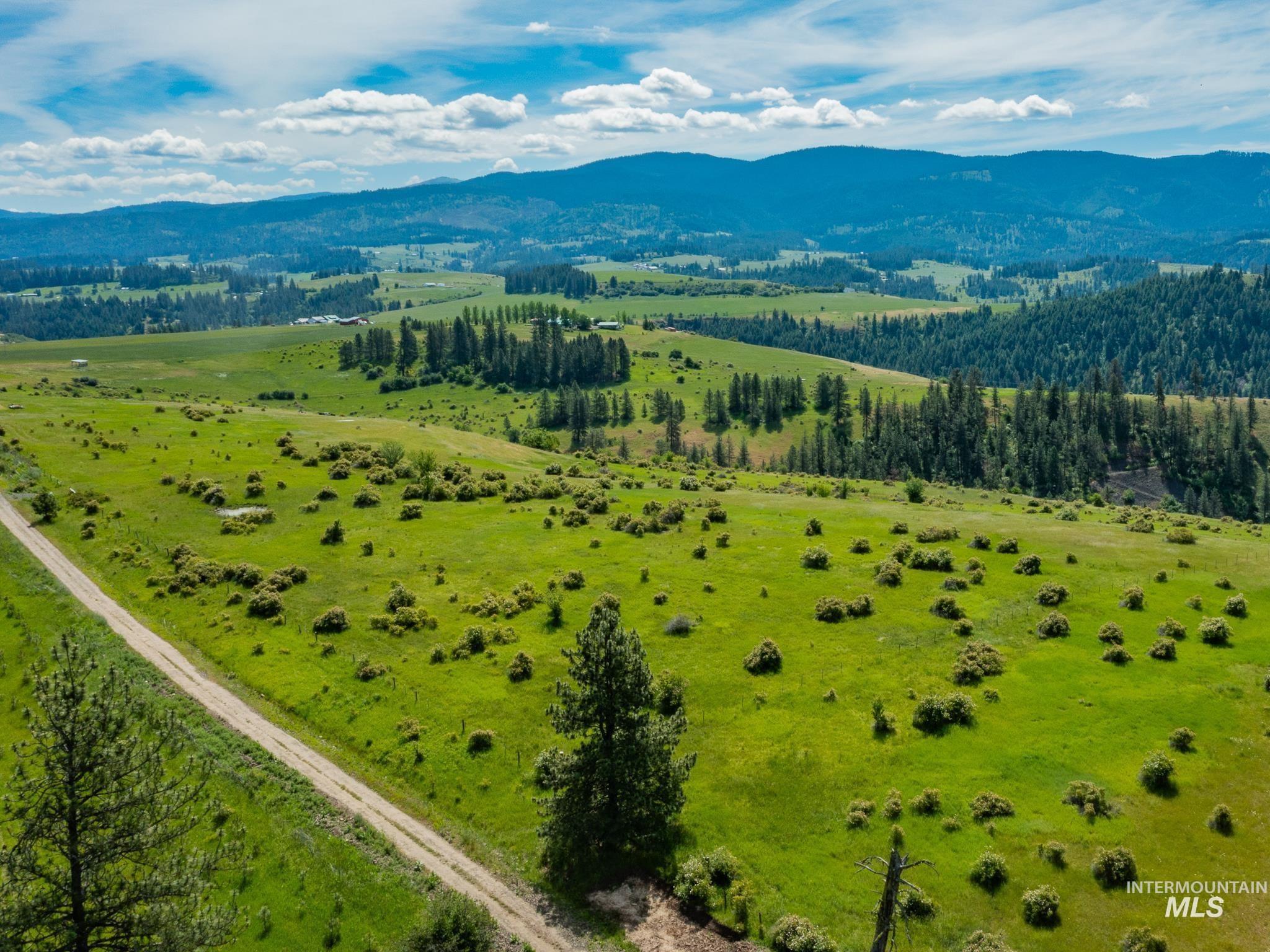 TBD Brotnov Rd., Clearwater, Idaho 83552, Land For Sale, Price $245,000,MLS 98998651