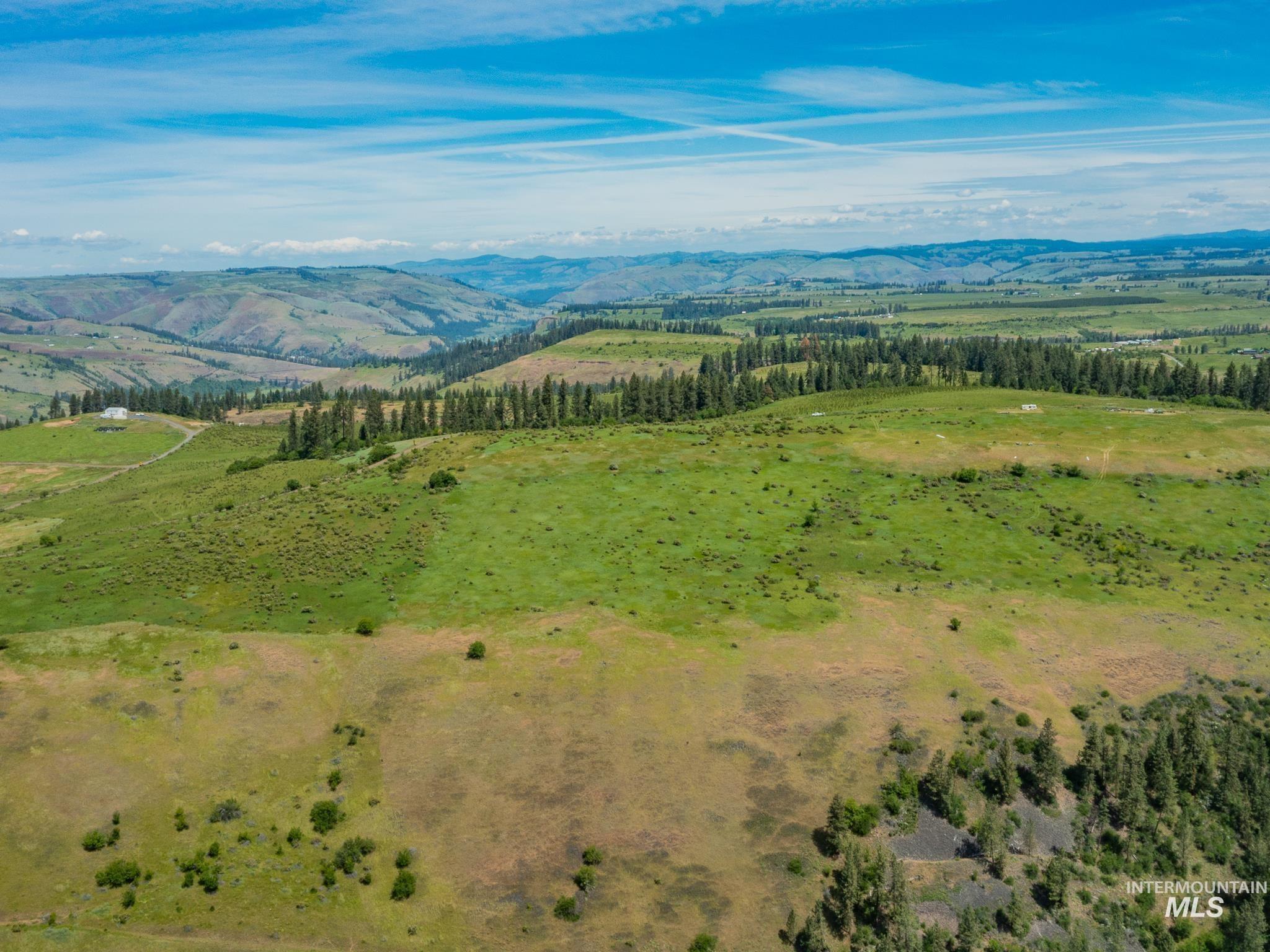 TBD Brotnov Rd., Clearwater, Idaho 83552, Land For Sale, Price $245,000,MLS 98998651