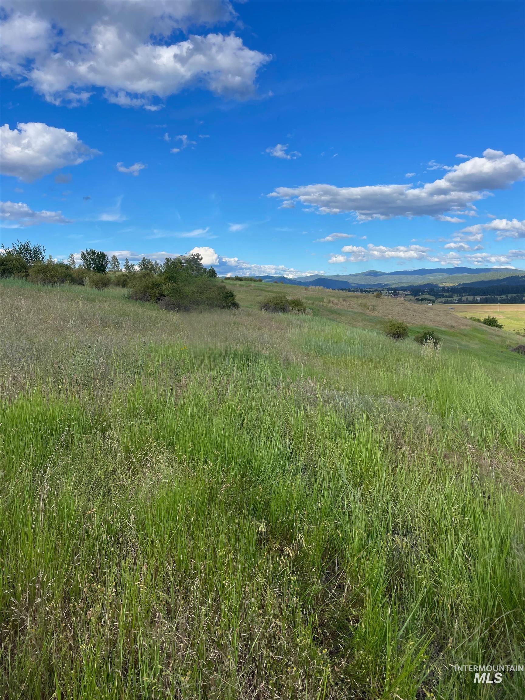 TBD Brotnov Rd., Clearwater, Idaho 83552, Land For Sale, Price $245,000,MLS 98998651