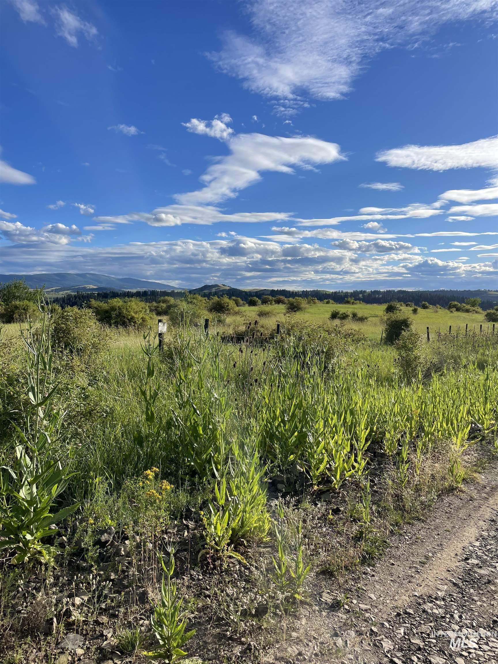 TBD Brotnov Rd., Clearwater, Idaho 83552, Land For Sale, Price $245,000,MLS 98998651