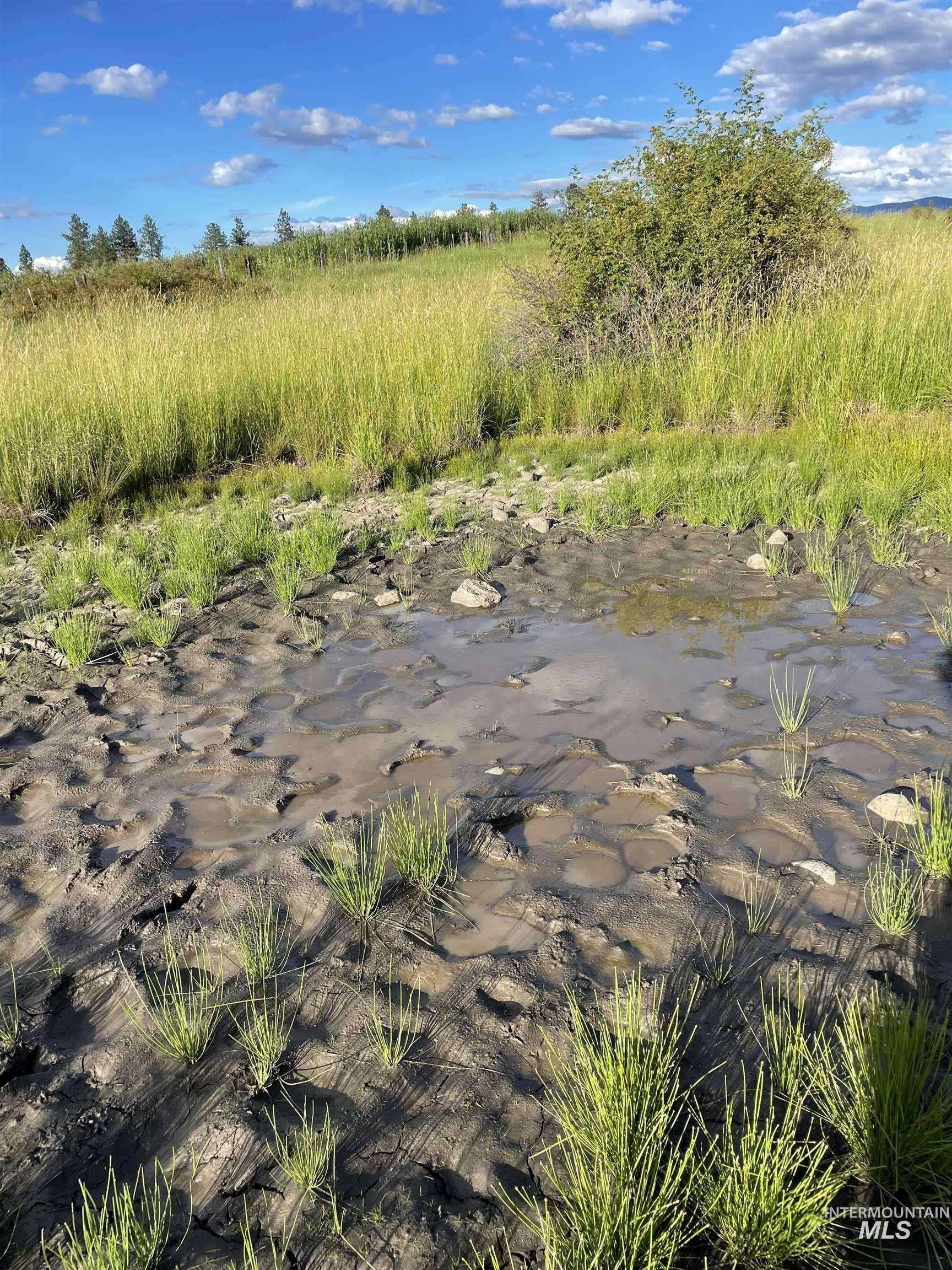 TBD Brotnov Rd., Clearwater, Idaho 83552, Land For Sale, Price $245,000,MLS 98998651