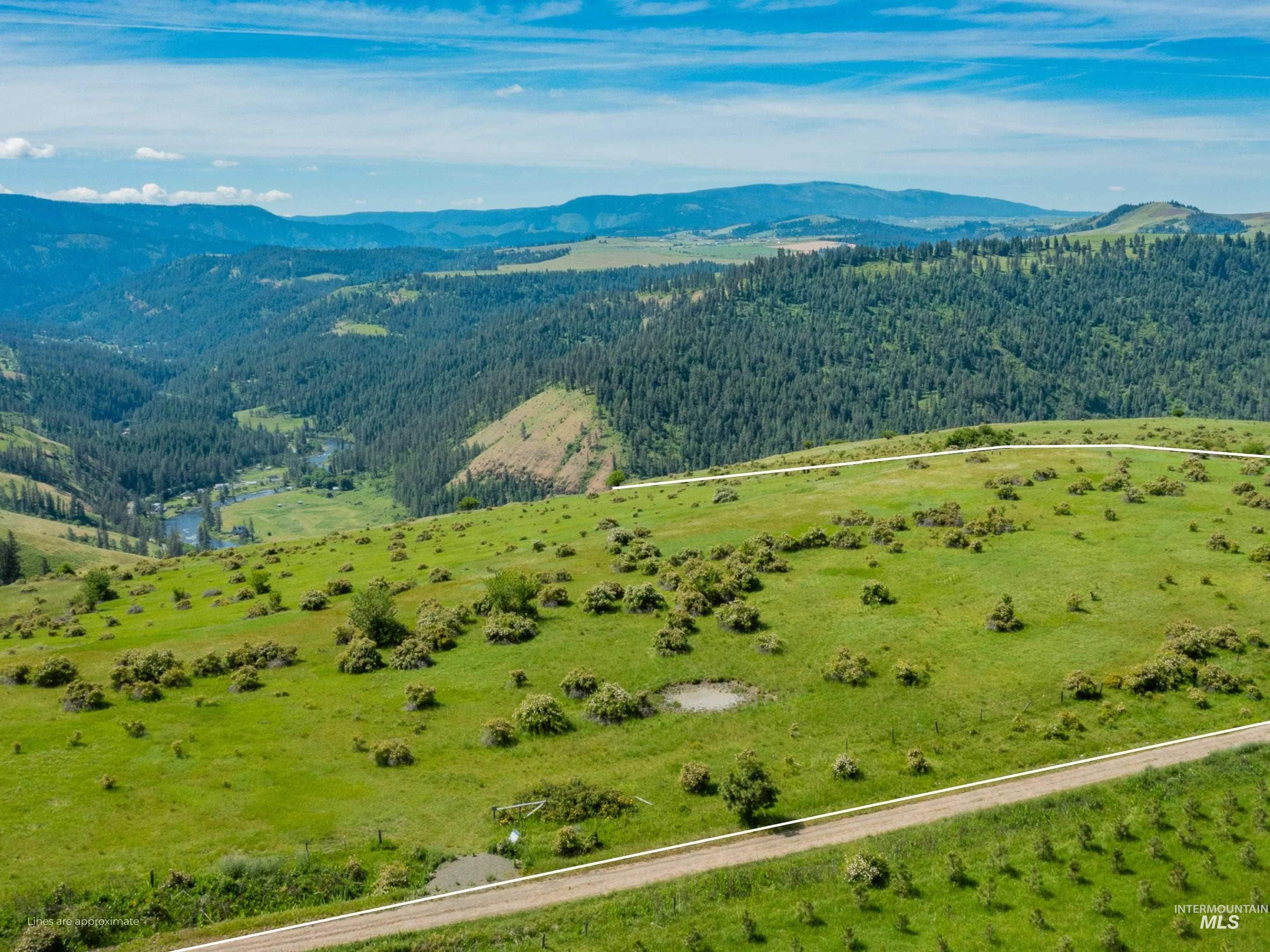 TBD Brotnov Rd., Clearwater, Idaho 83552, Land For Sale, Price $245,000,MLS 98998651