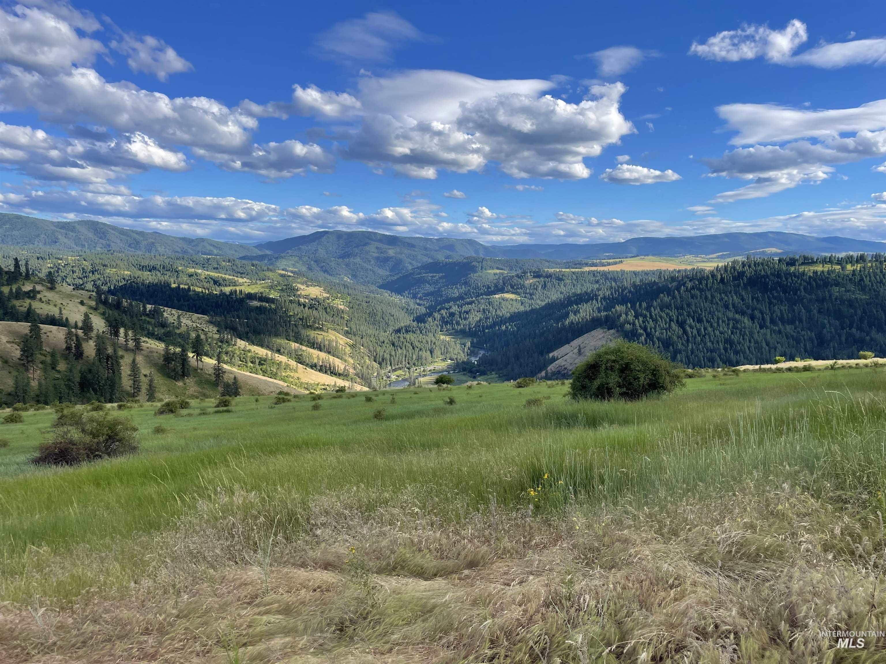 TBD Brotnov Rd., Clearwater, Idaho 83552, Land For Sale, Price $245,000,MLS 98998651