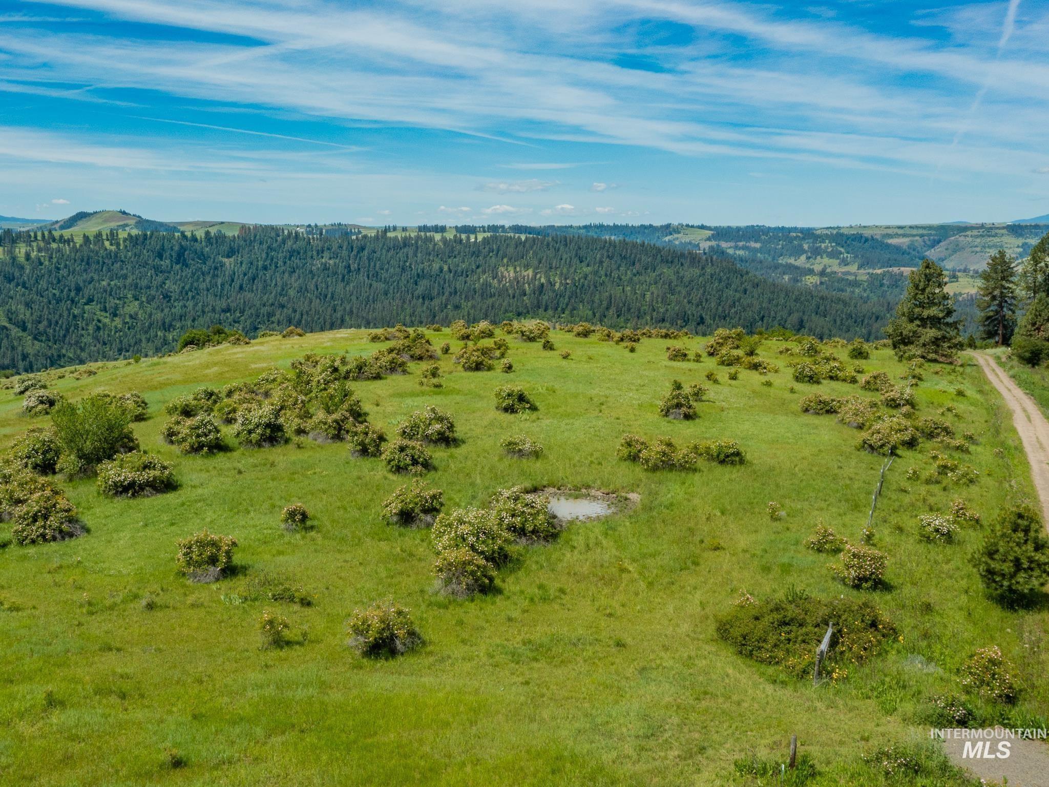 TBD Brotnov Rd., Clearwater, Idaho 83552, Land For Sale, Price $245,000,MLS 98998651