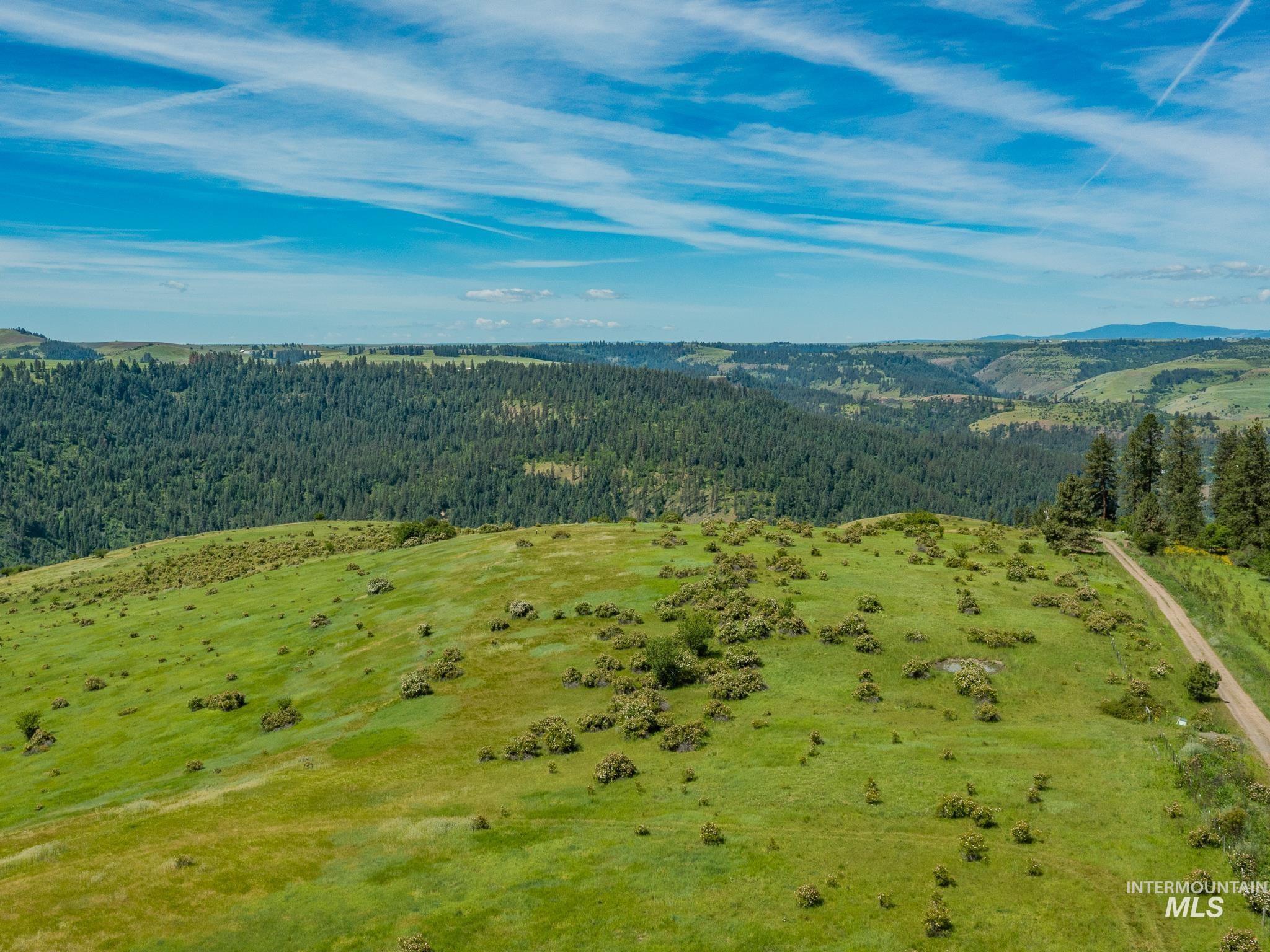 TBD Brotnov Rd., Clearwater, Idaho 83552, Land For Sale, Price $245,000,MLS 98998651