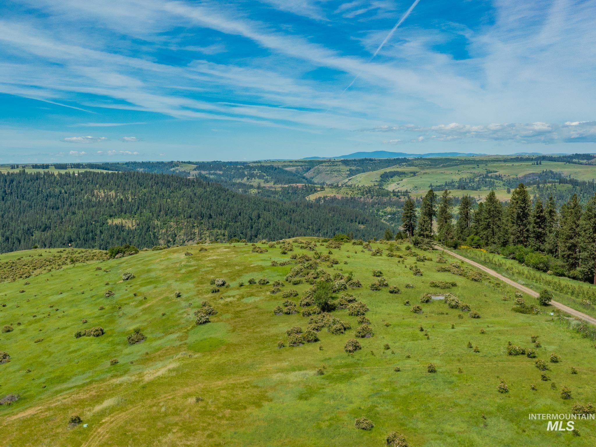 TBD Brotnov Rd., Clearwater, Idaho 83552, Land For Sale, Price $245,000,MLS 98998651