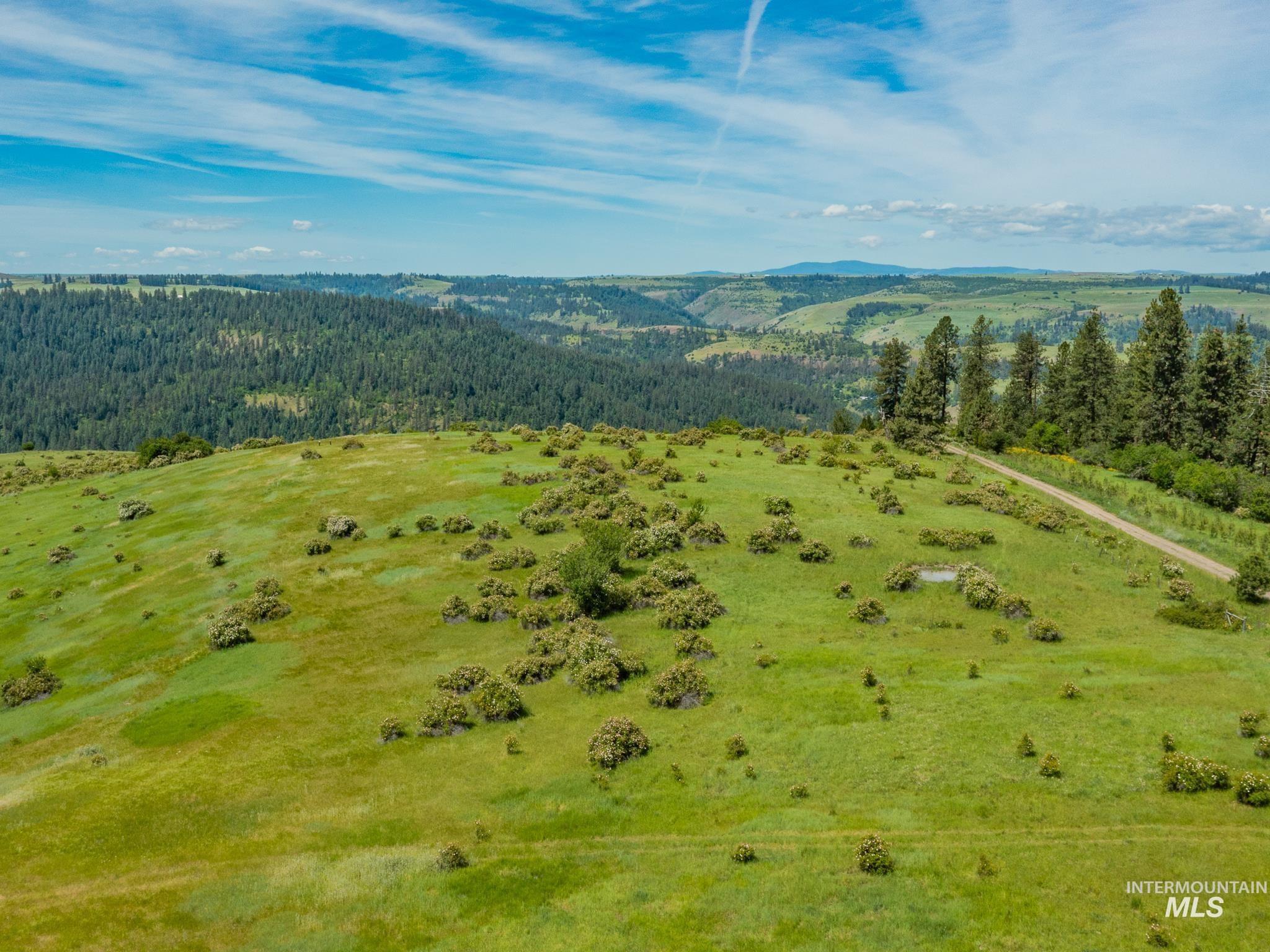 TBD Brotnov Rd., Clearwater, Idaho 83552, Land For Sale, Price $245,000,MLS 98998651