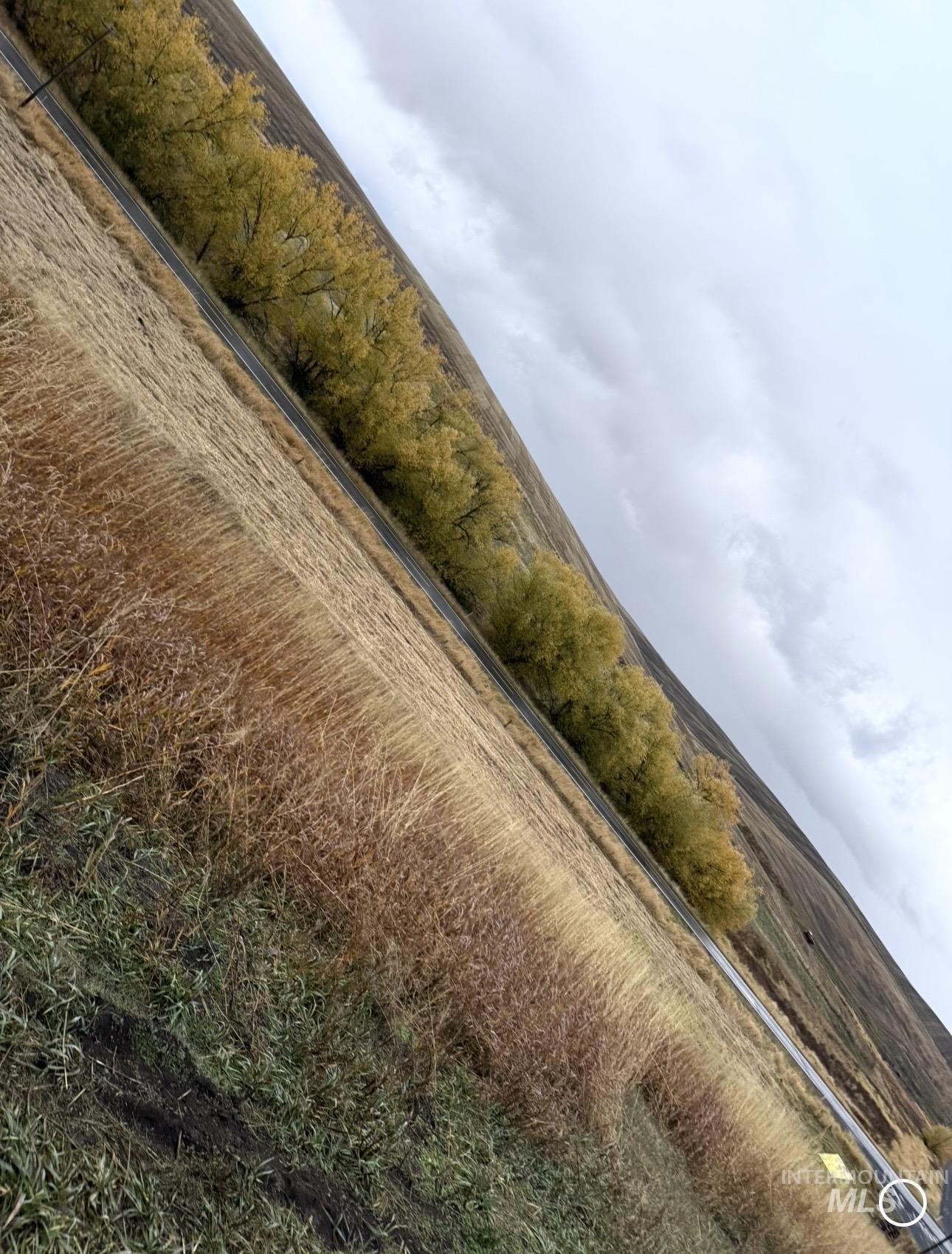1959 Brannan, Craigmont, Idaho 83555, Land For Sale, Price $110,000,MLS 98998658