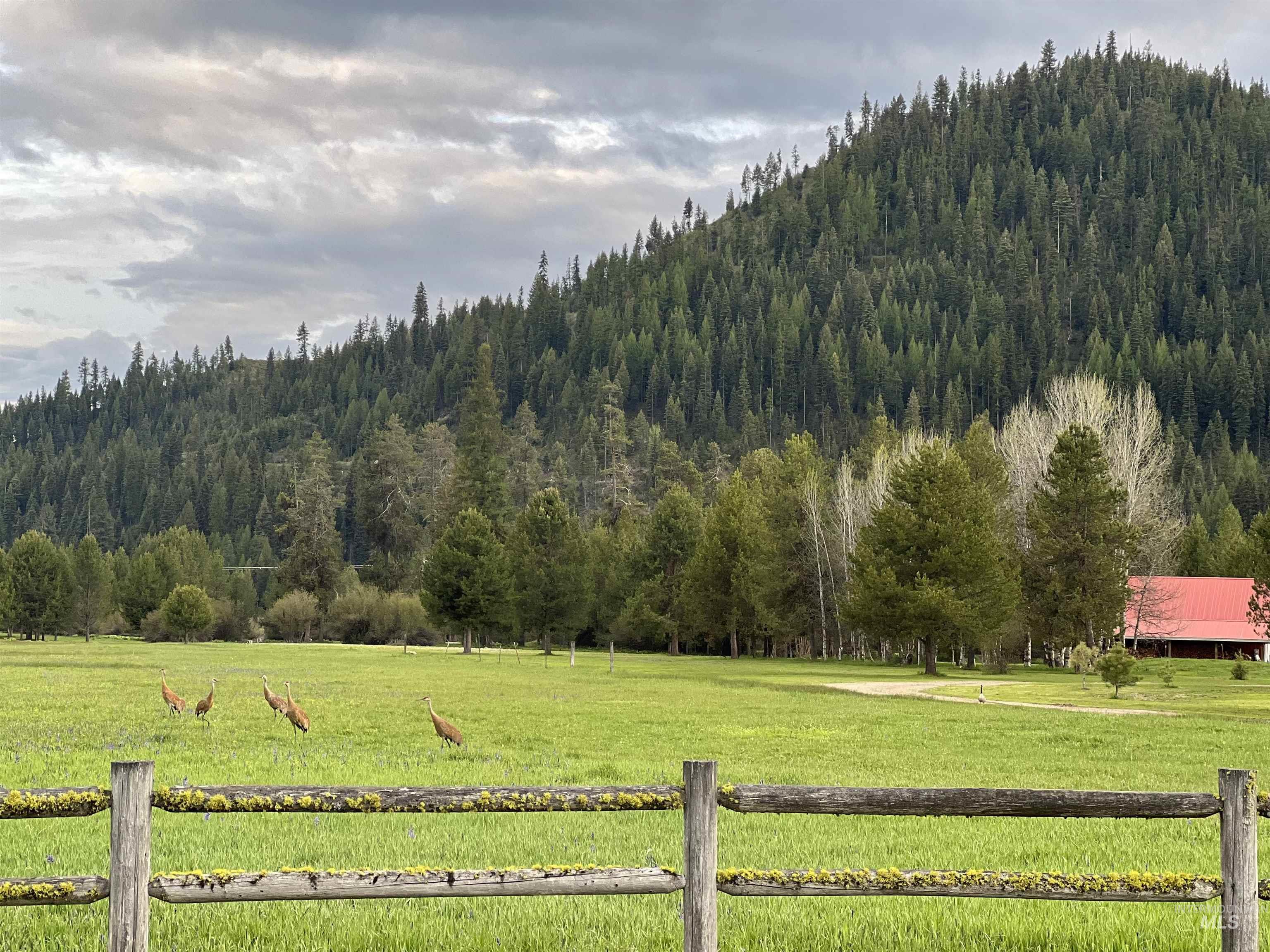 9785 Edna Pl, Cascade, Idaho 83611, 3 Bedrooms, 1 Bathroom, Residential For Sale, Price $598,000, 98998693