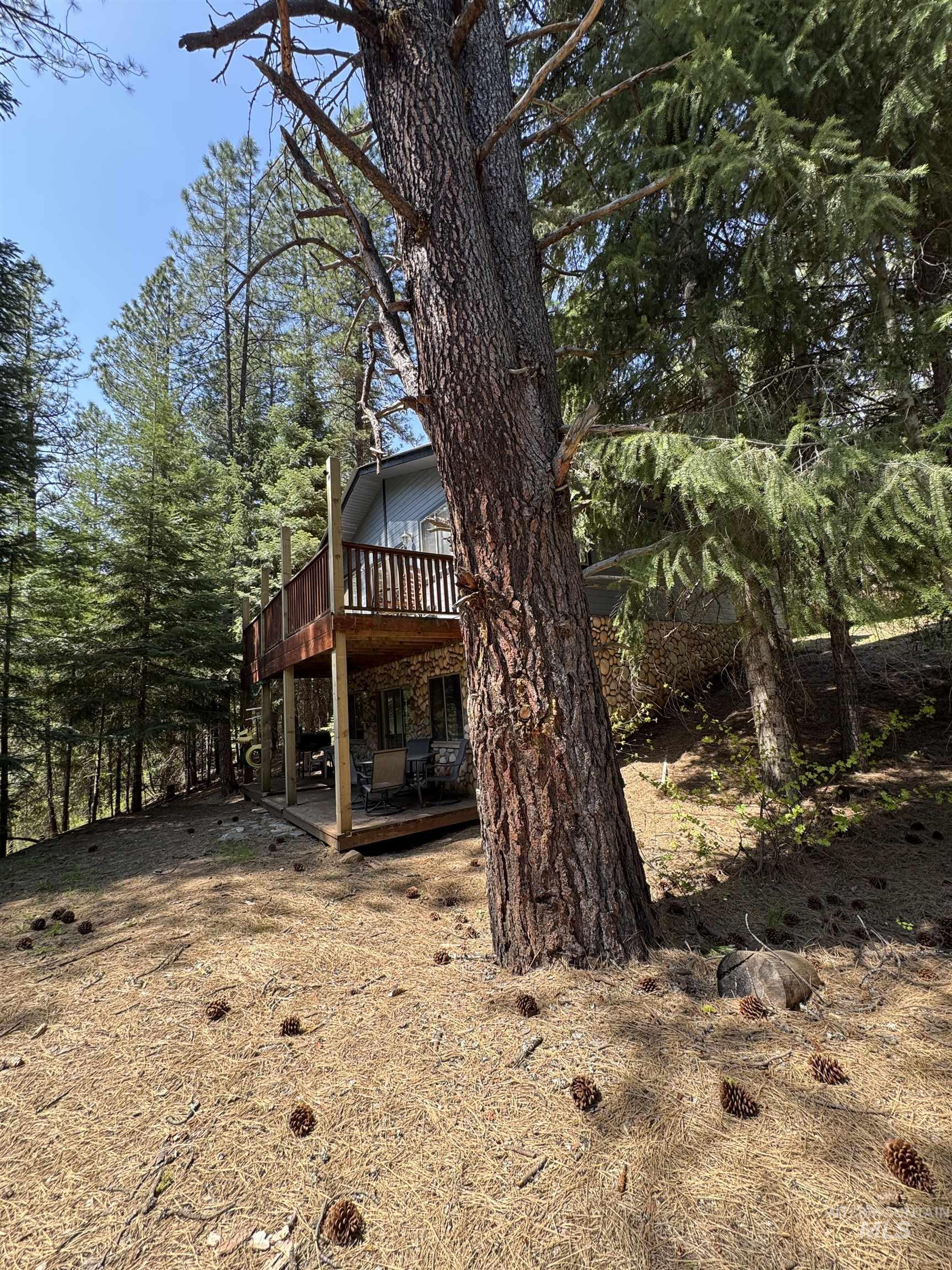 2857 Hillman Basin Rd, Pollock, Idaho 83547, 3 Bedrooms, 2 Bathrooms, Residential For Sale, Price $624,000, 98998701