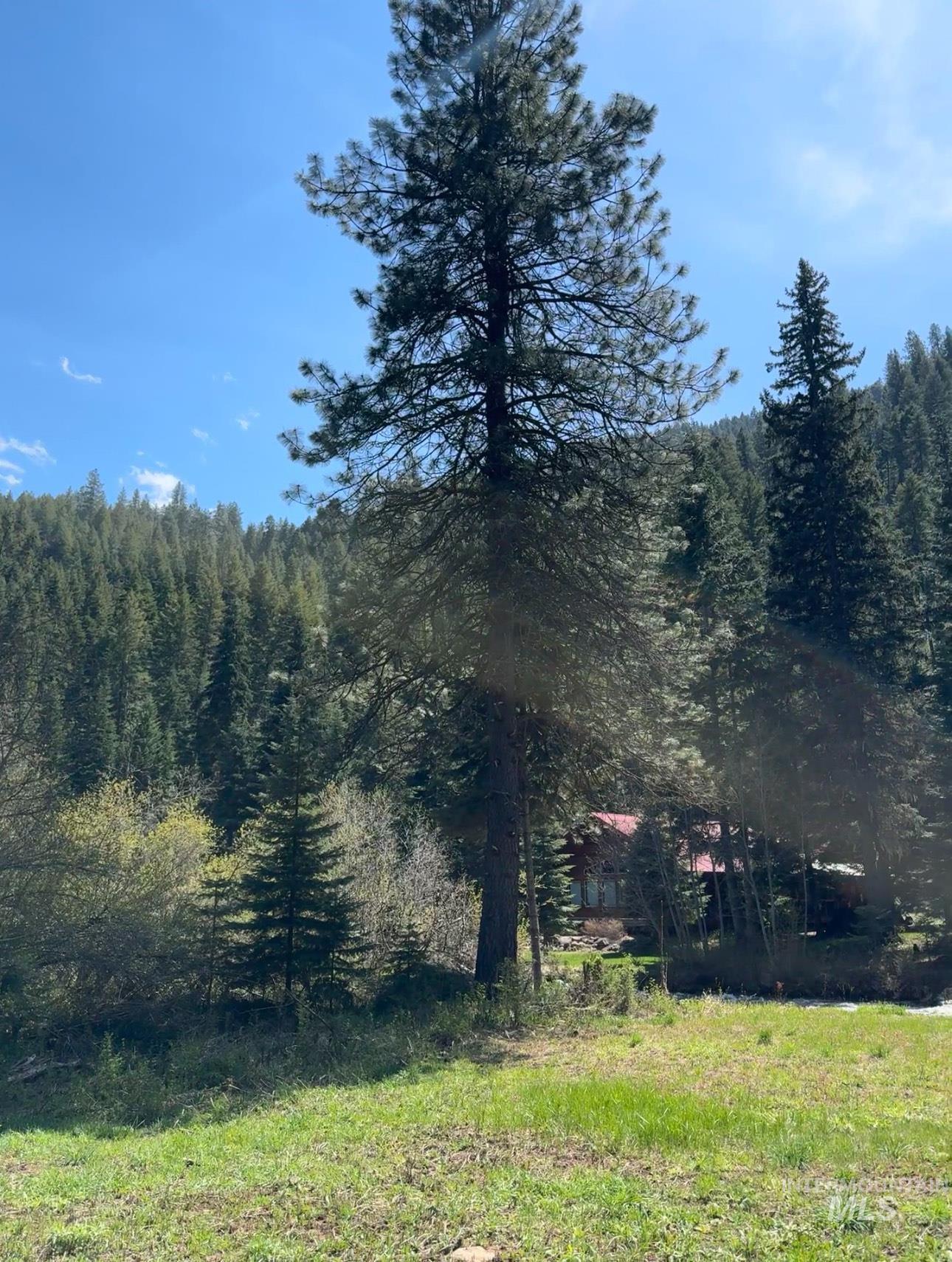 2857 Hillman Basin Rd, Pollock, Idaho 83547, 3 Bedrooms, 2 Bathrooms, Residential For Sale, Price $624,000, 98998701