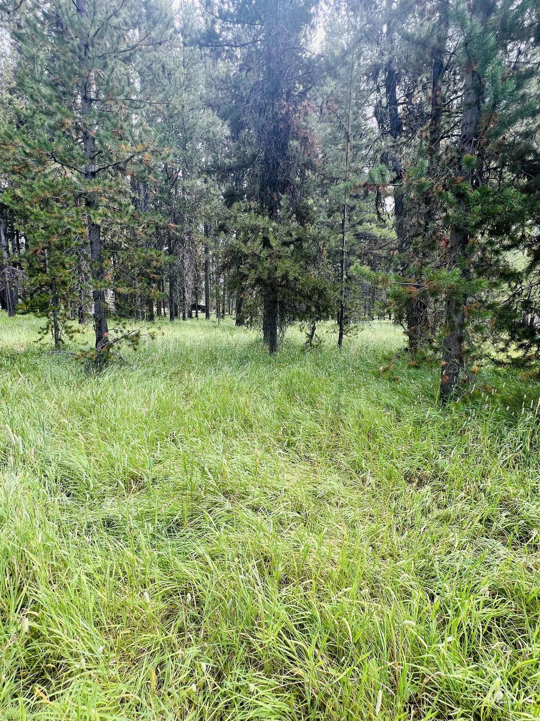 Lots 9&10 Warren Wagon Road, Secesh, Idaho 83547, Land For Sale, Price $99,000, 98998713