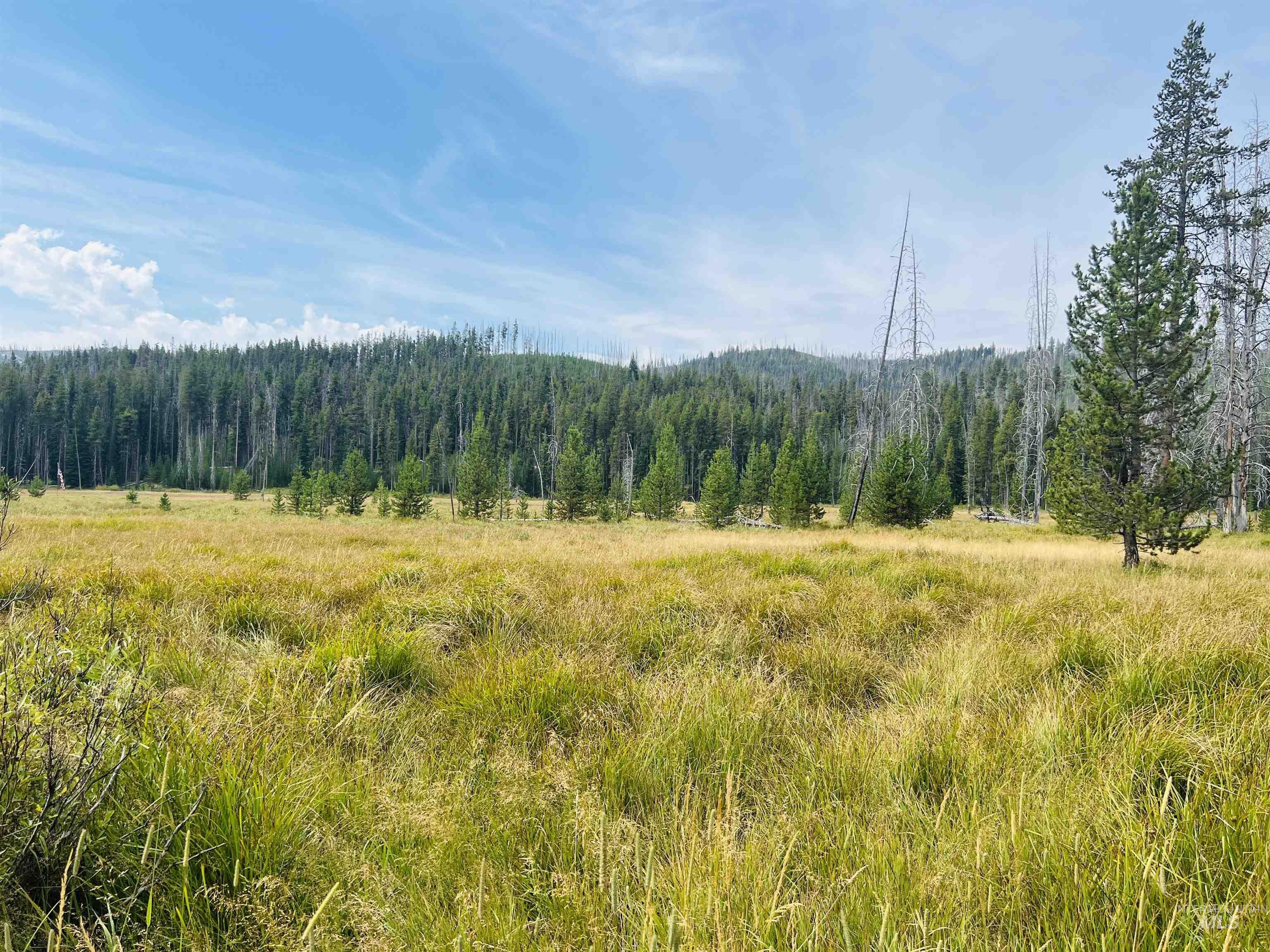 Lots 9&10 Warren Wagon Road, Secesh, Idaho 83547, Land For Sale, Price $99,000, 98998713