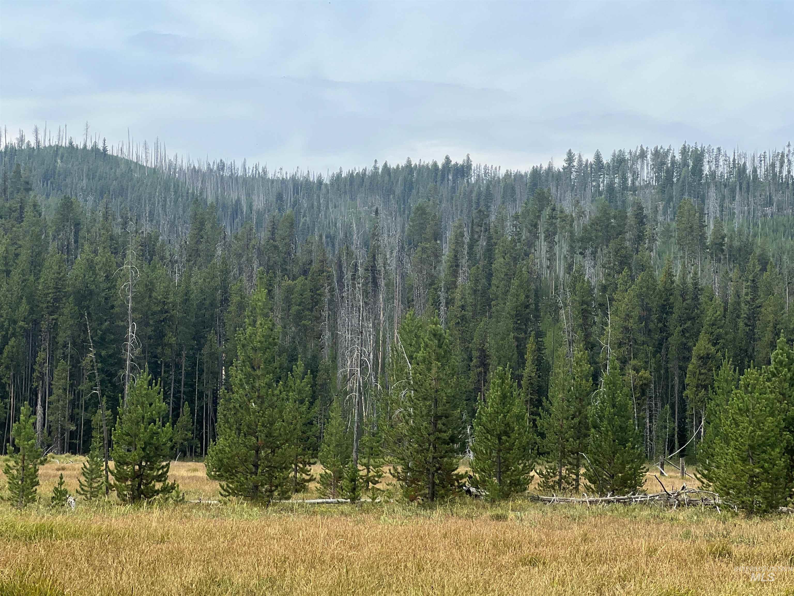Lots 9&10 Warren Wagon Road, Secesh, Idaho 83547, Land For Sale, Price $99,000, 98998713