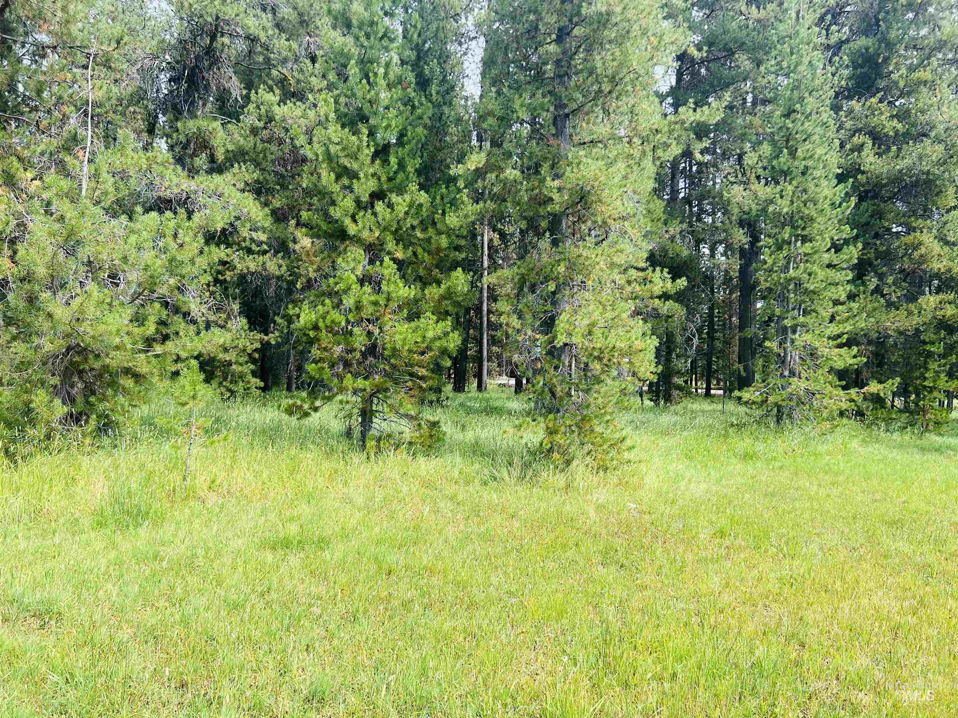 Lots 9&10 Warren Wagon Road, Secesh, Idaho 83547, Land For Sale, Price $99,000, 98998713