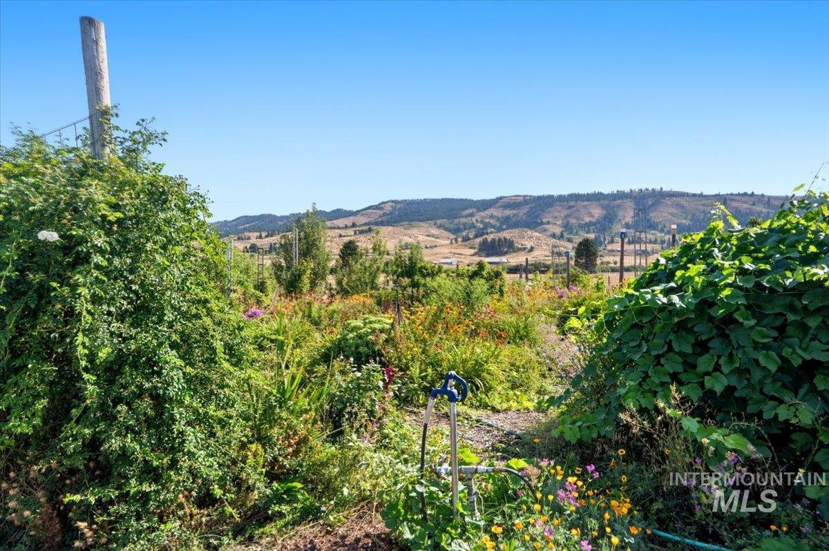 2345 Spring Creek Lane, Council, Idaho 83612, 5 Bedrooms, 3 Bathrooms, Residential For Sale, Price $985,000,MLS 98998725