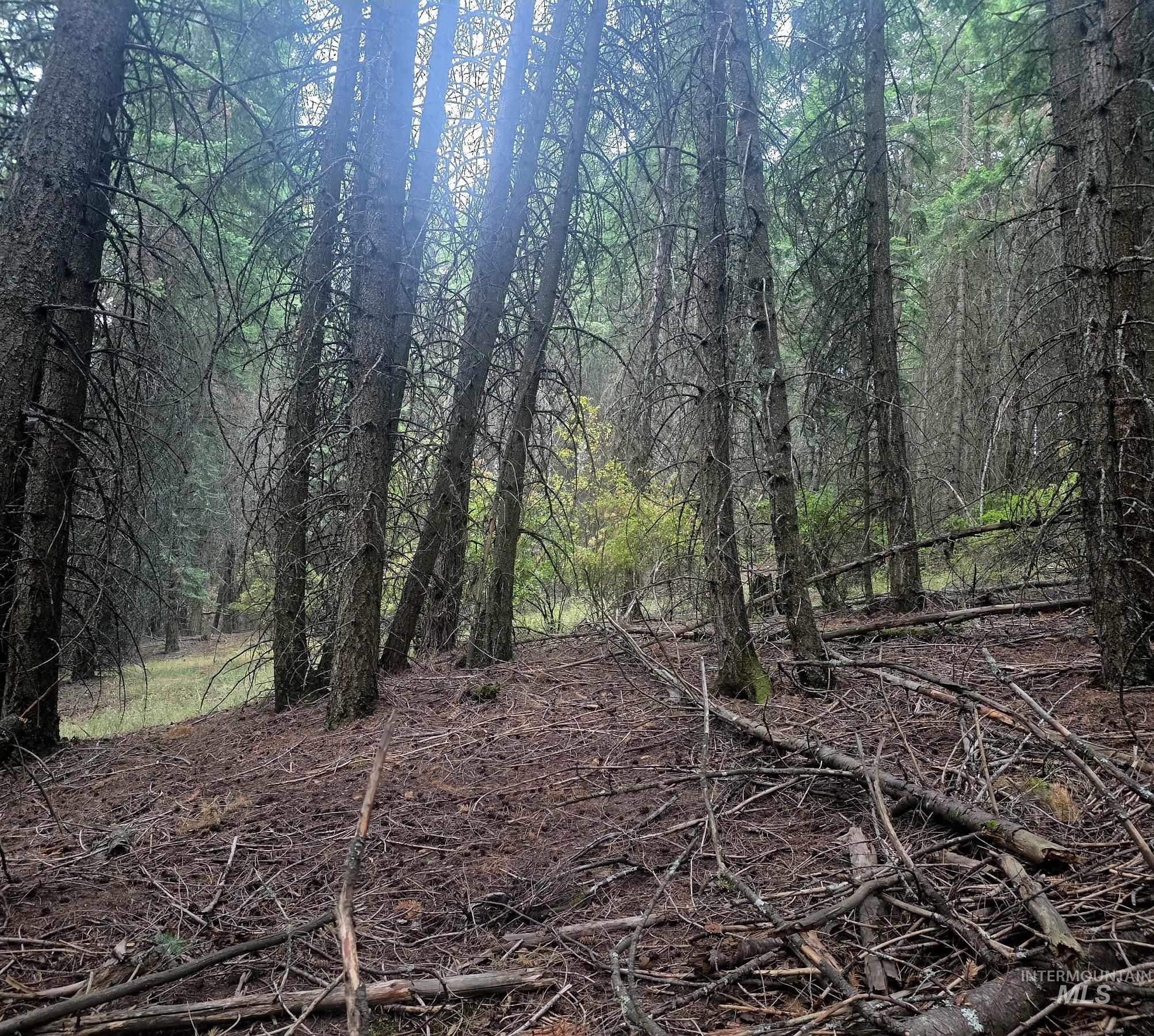 TBD Black Tail Ln, Grangeville, Idaho 83530, Land For Sale, Price $180,000,MLS 98998739