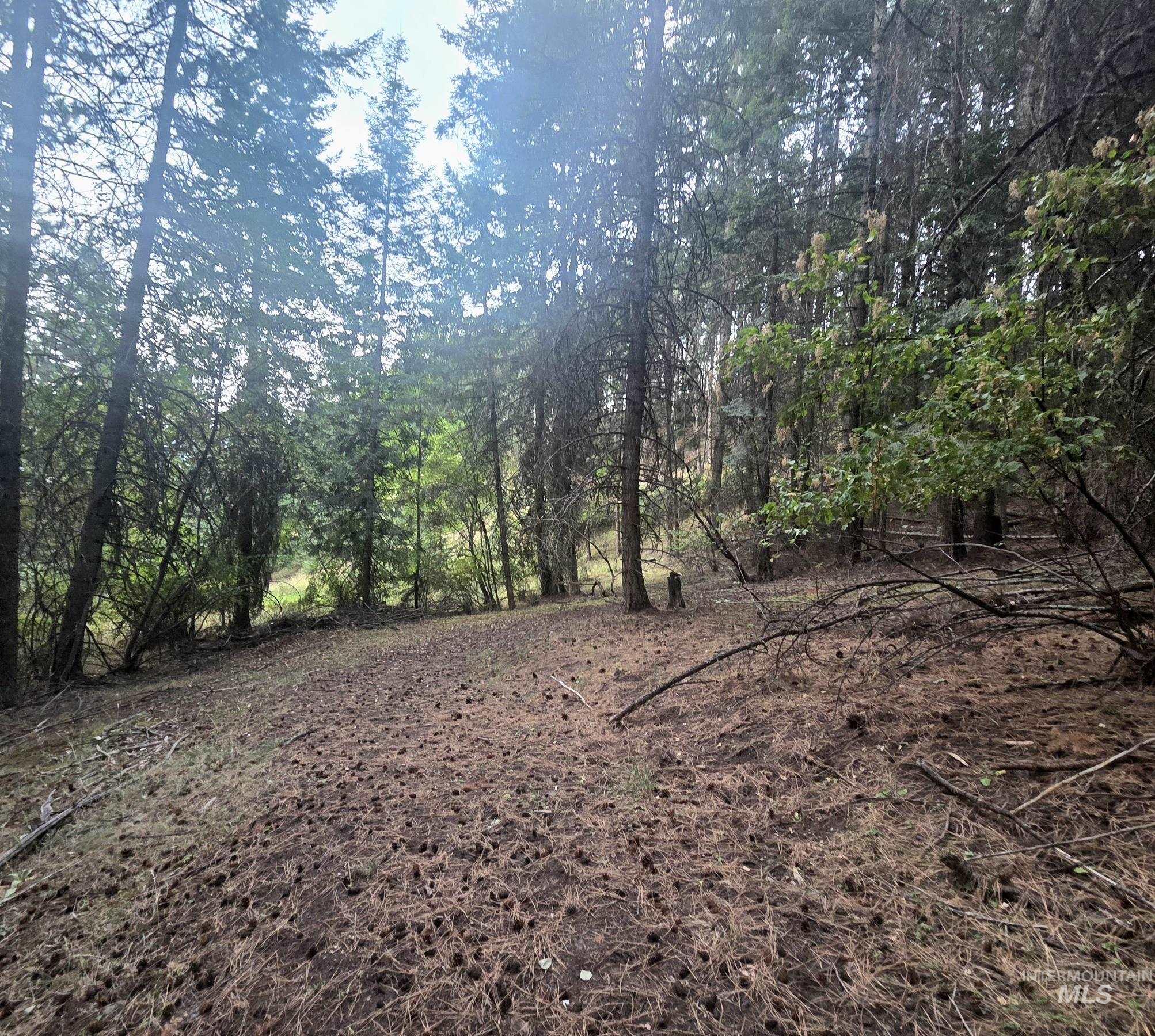 TBD Black Tail Ln, Grangeville, Idaho 83530, Land For Sale, Price $180,000,MLS 98998739