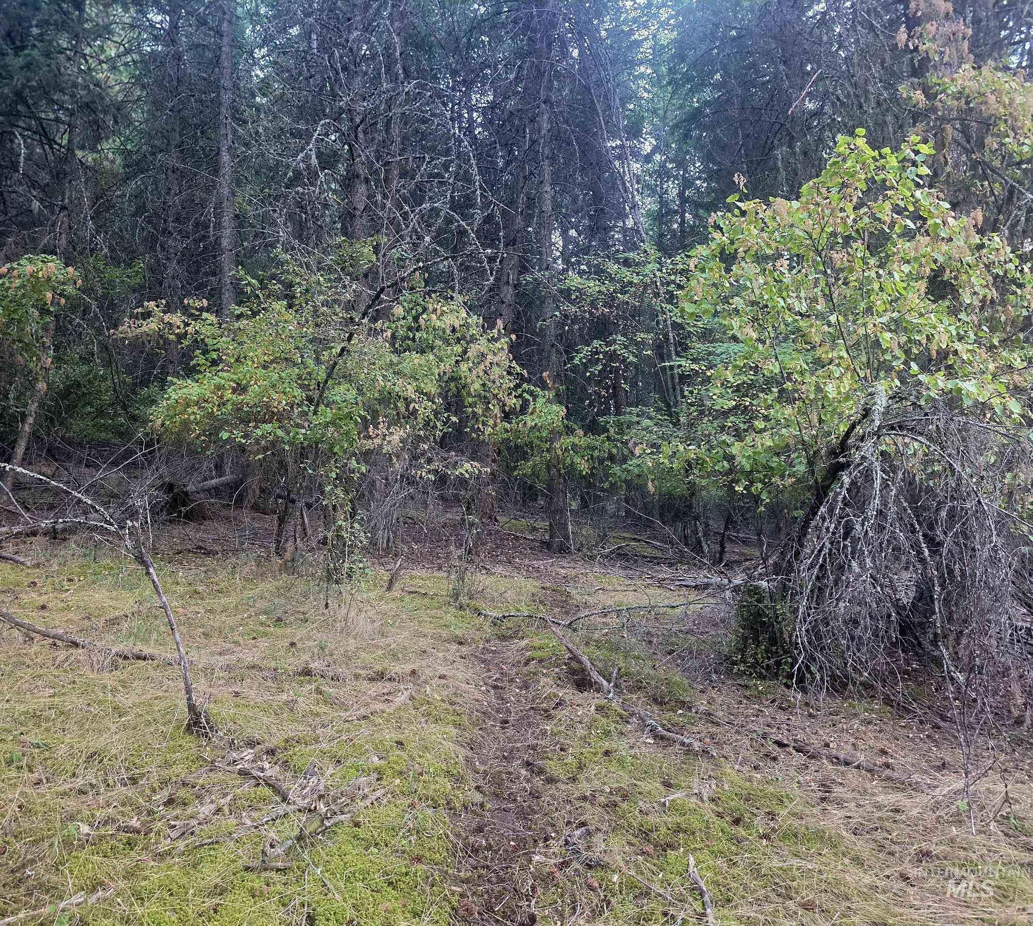 TBD Black Tail Ln, Grangeville, Idaho 83530, Land For Sale, Price $180,000,MLS 98998739