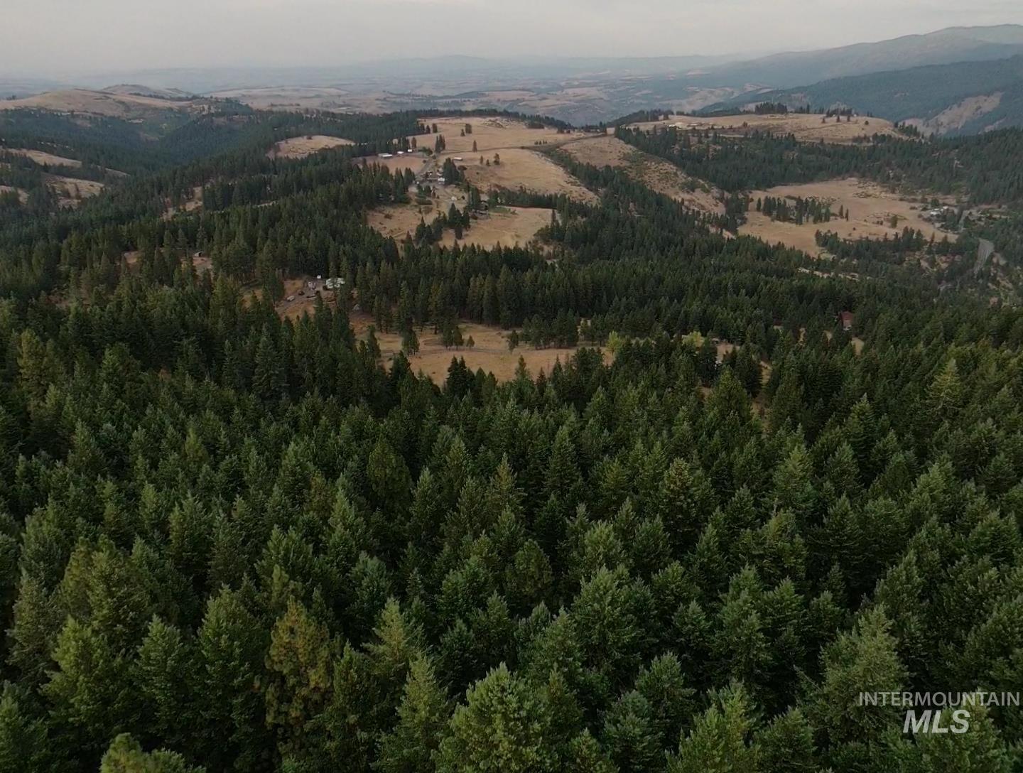 TBD Black Tail Ln, Grangeville, Idaho 83530, Land For Sale, Price $180,000,MLS 98998739