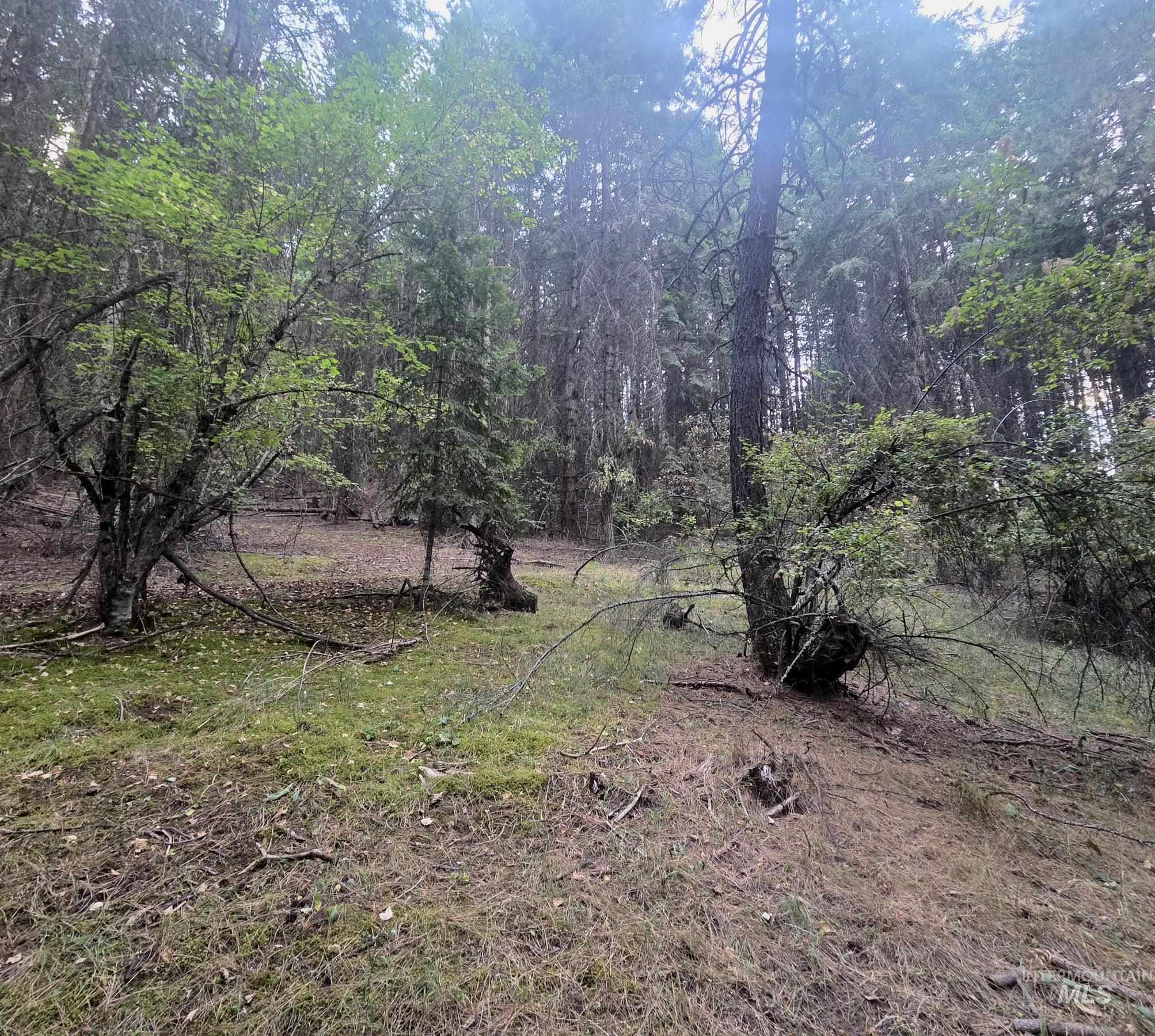 TBD Black Tail Ln, Grangeville, Idaho 83530, Land For Sale, Price $180,000,MLS 98998739