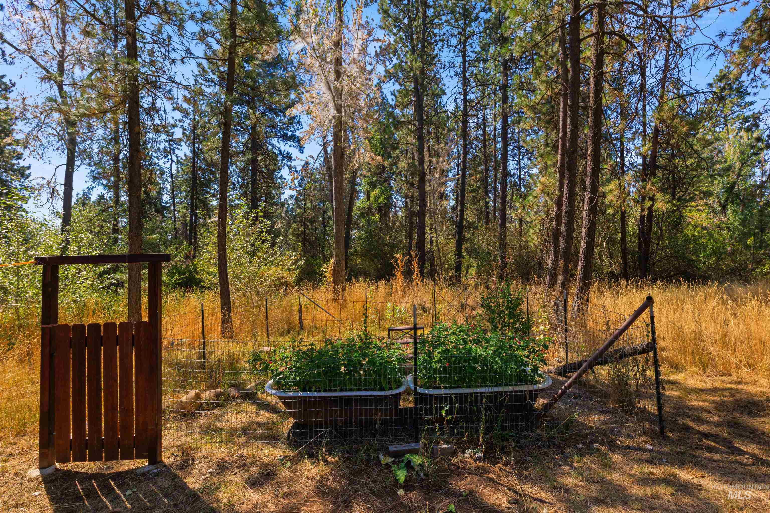 3488 Ward Rd, Cambridge, Idaho 83610, 4 Bedrooms, 3 Bathrooms, Residential For Sale, Price $699,000, 98998787