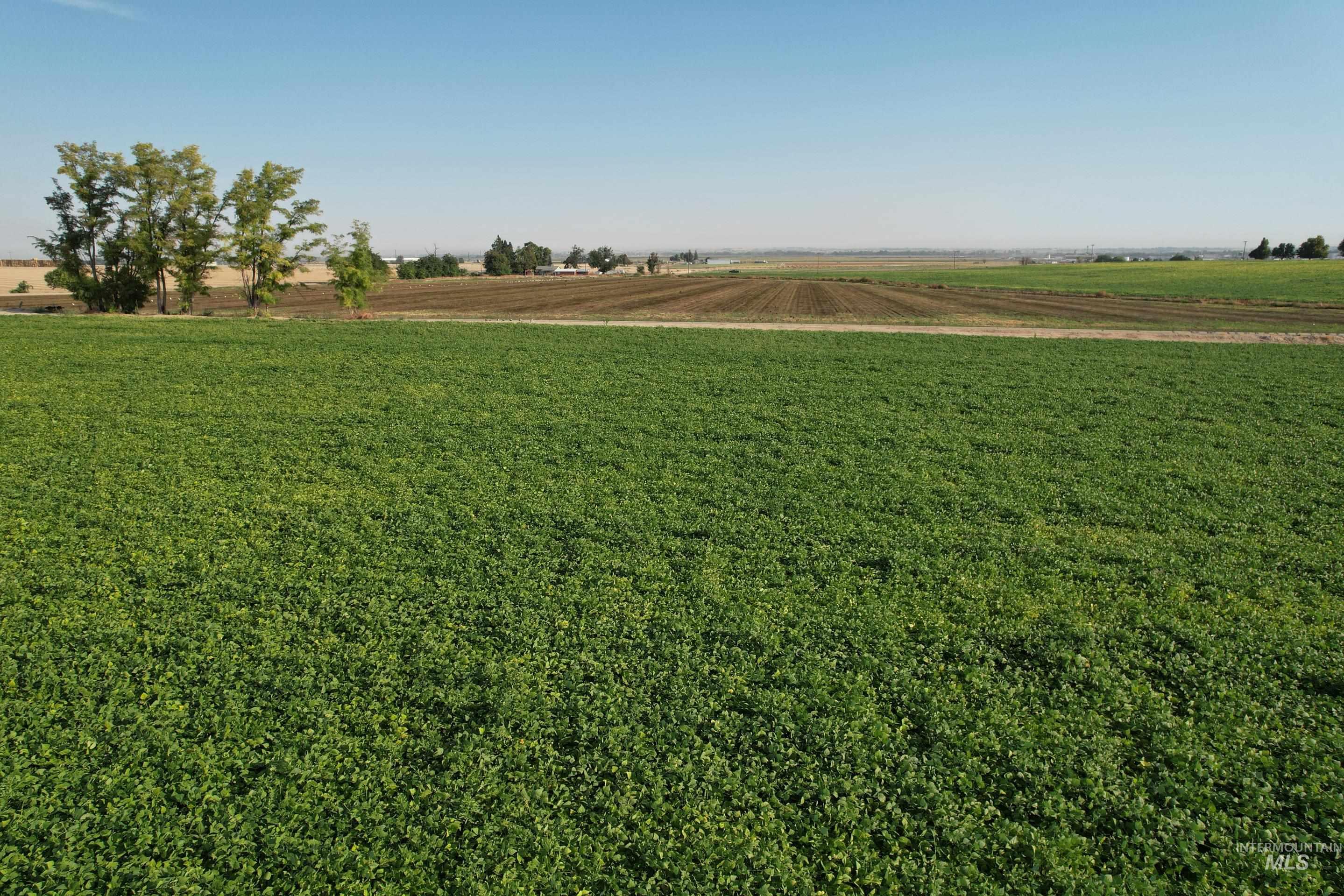 TBD Malt Road, Caldwell, Idaho 83607, Land For Sale, Price $4,540,000, 98998790