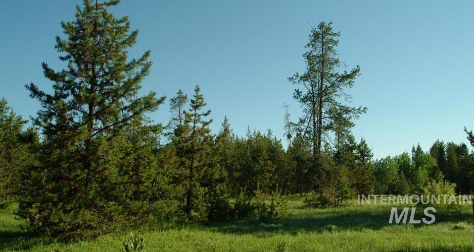 206 W Morgan Drive, McCall, Idaho 83638, Land For Sale, Price $195,000,MLS 98998811