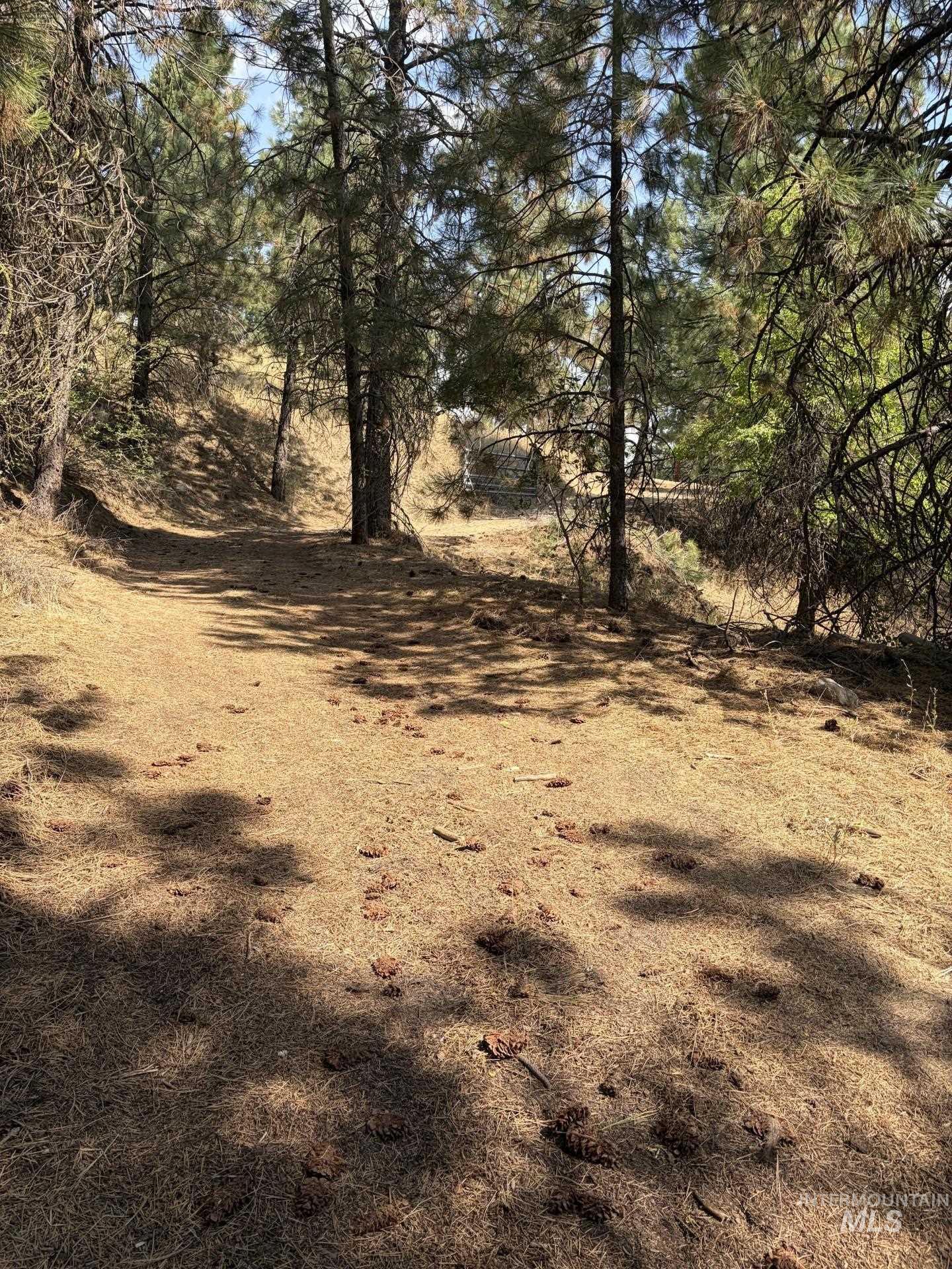 23 Rampage Rd, Boise, Idaho 83716, Land For Sale, Price $95,000,MLS 98998881