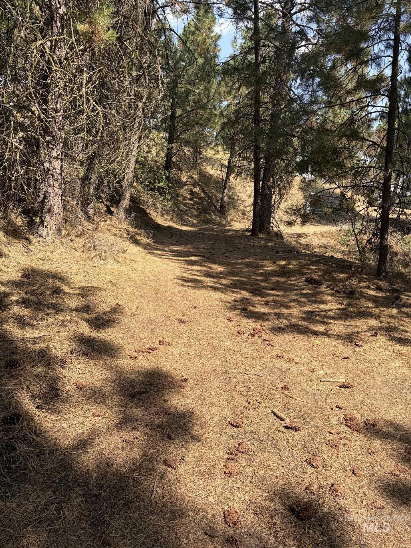 23 Rampage Rd, Boise, Idaho 83716, Land For Sale, Price $95,000,MLS 98998881
