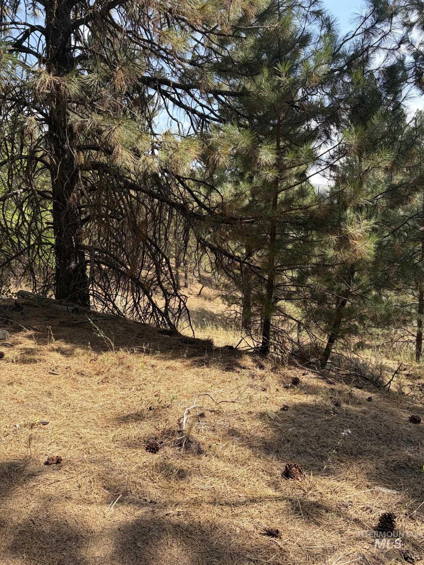 23 Rampage Rd, Boise, Idaho 83716, Land For Sale, Price $95,000,MLS 98998881