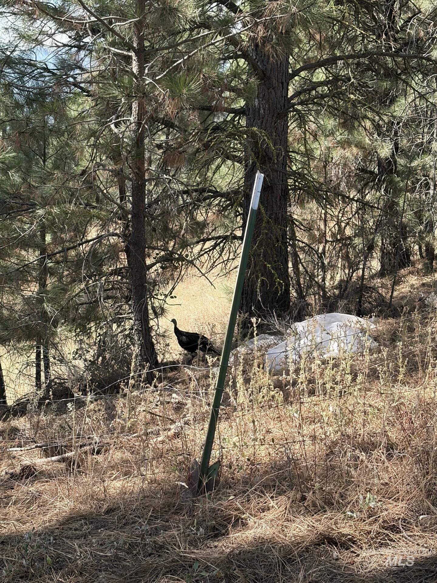 23 Rampage Rd, Boise, Idaho 83716, Land For Sale, Price $95,000,MLS 98998881