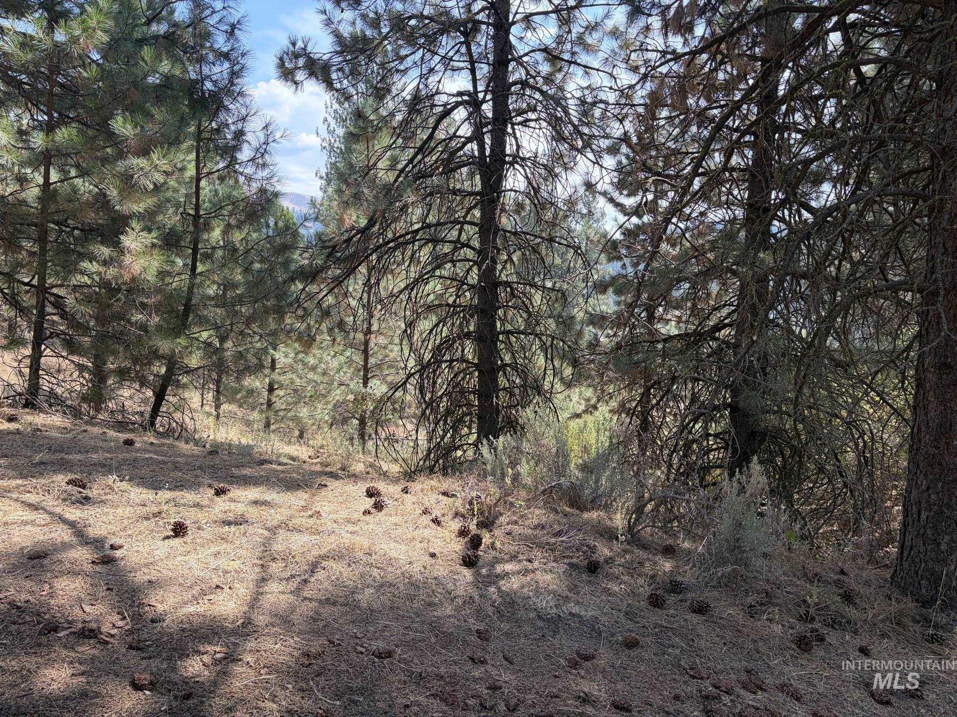 23 Rampage Rd, Boise, Idaho 83716, Land For Sale, Price $95,000,MLS 98998881